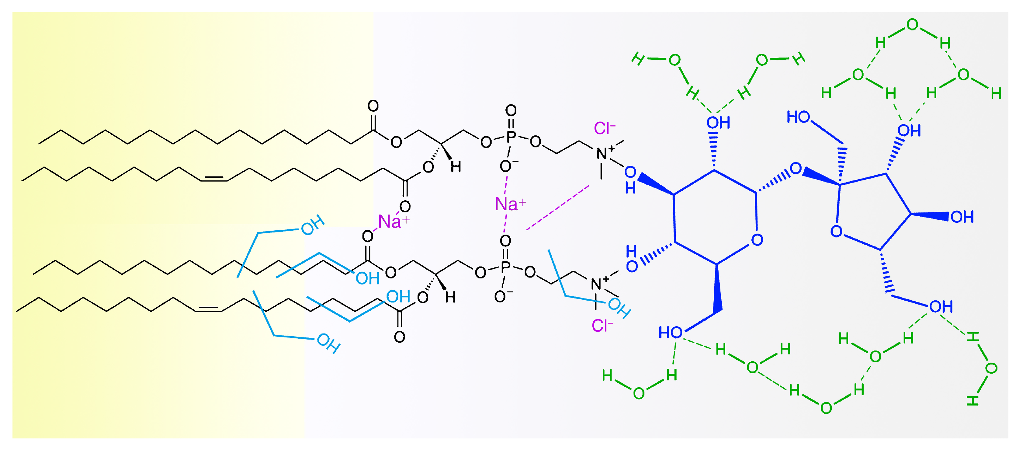 Processes 09 00945 g008