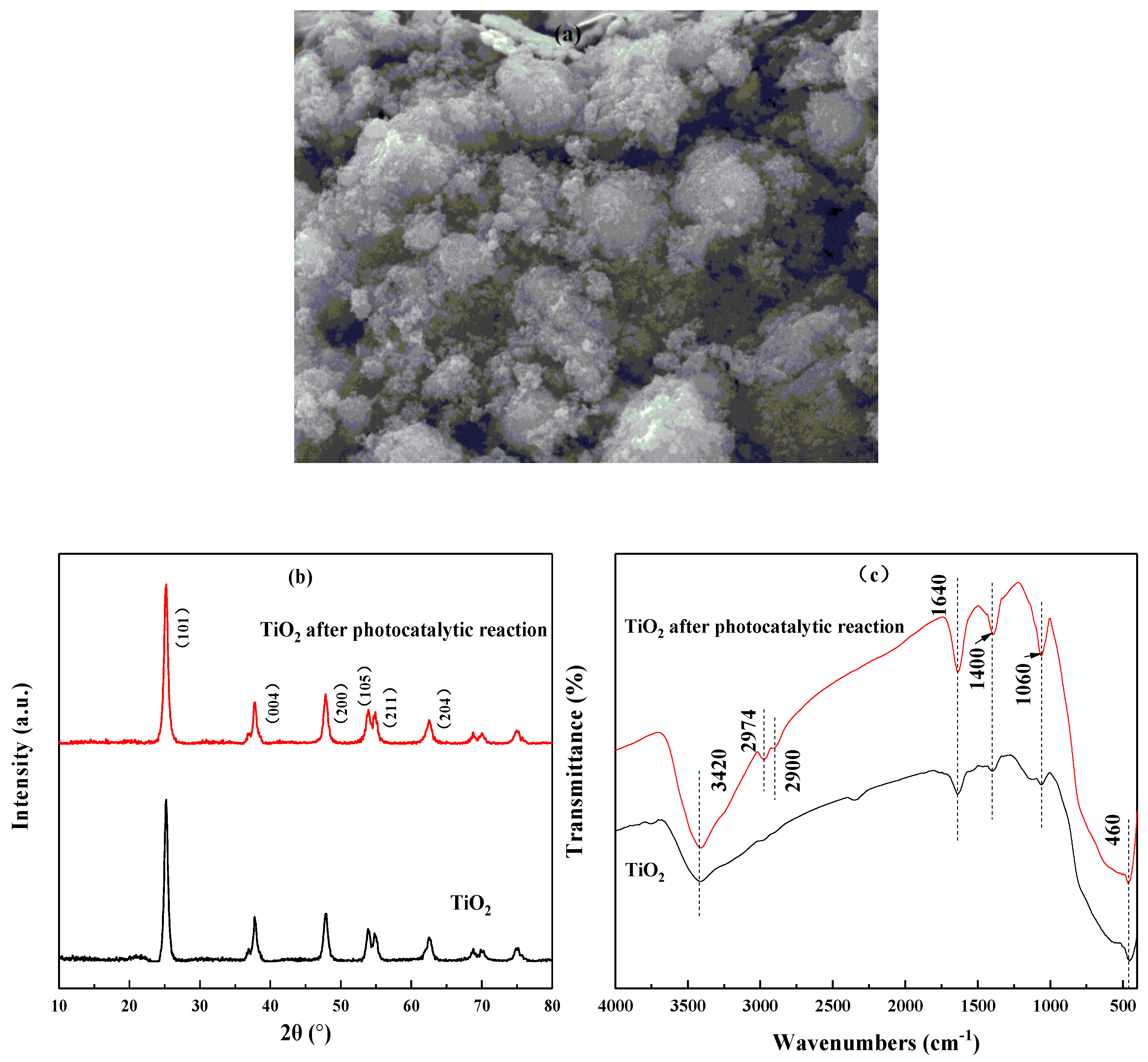 Processes 09 00946 g008