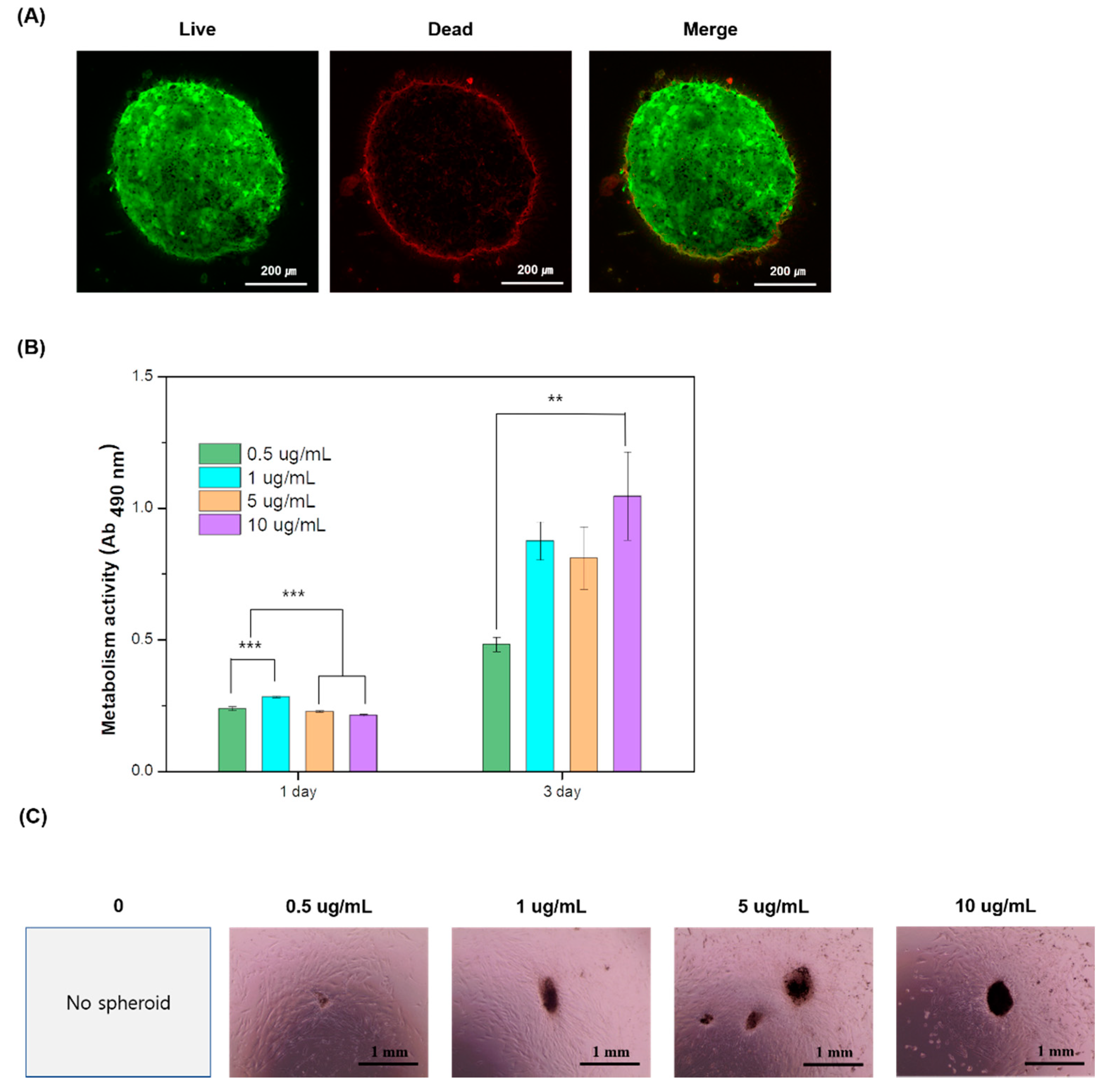 Processes 09 00957 g003