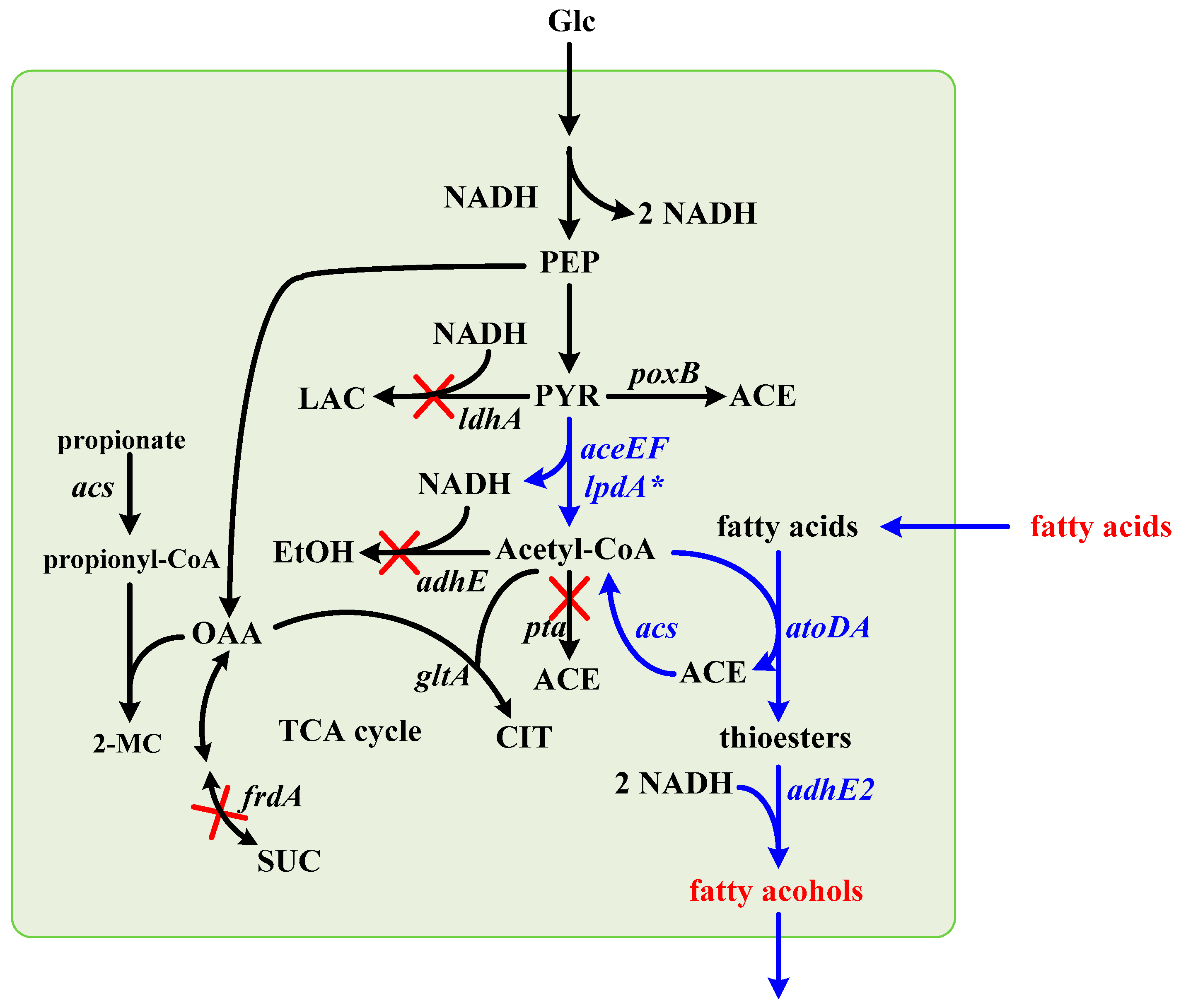 Processes 09 00973 g001 Processes 09 00973 g001