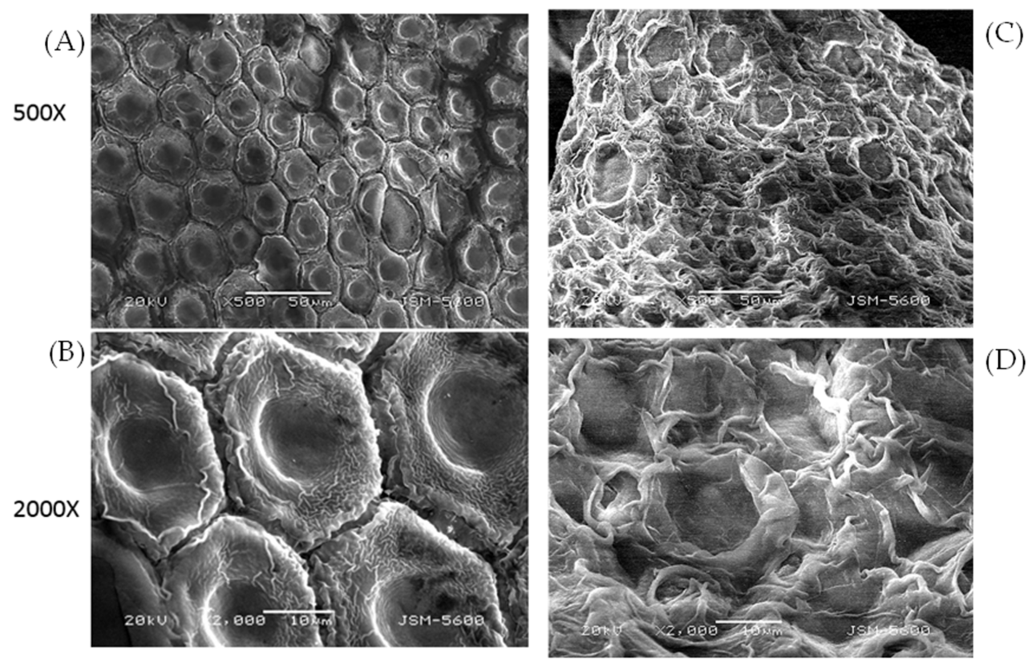 Processes 09 00976 g003 Processes 09 00976 g003