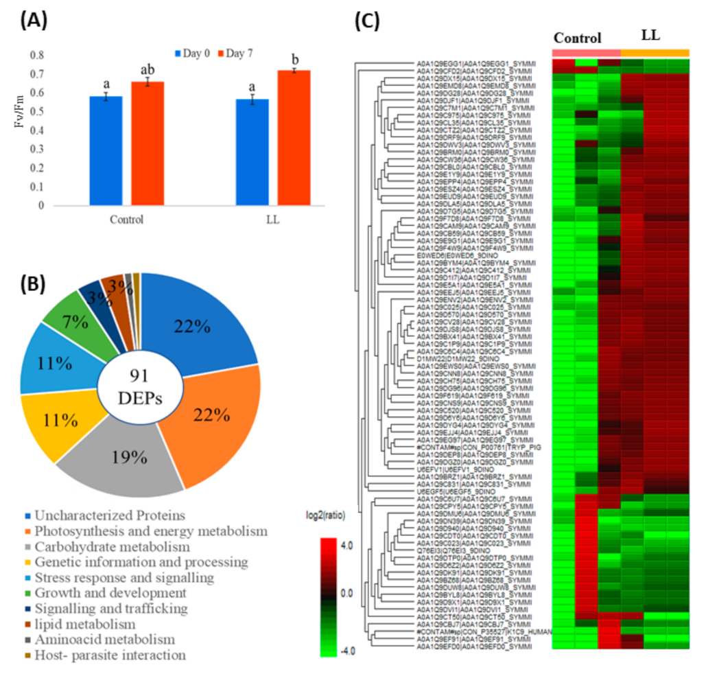Processes 09 00983 g004 Processes 09 00983 g004
