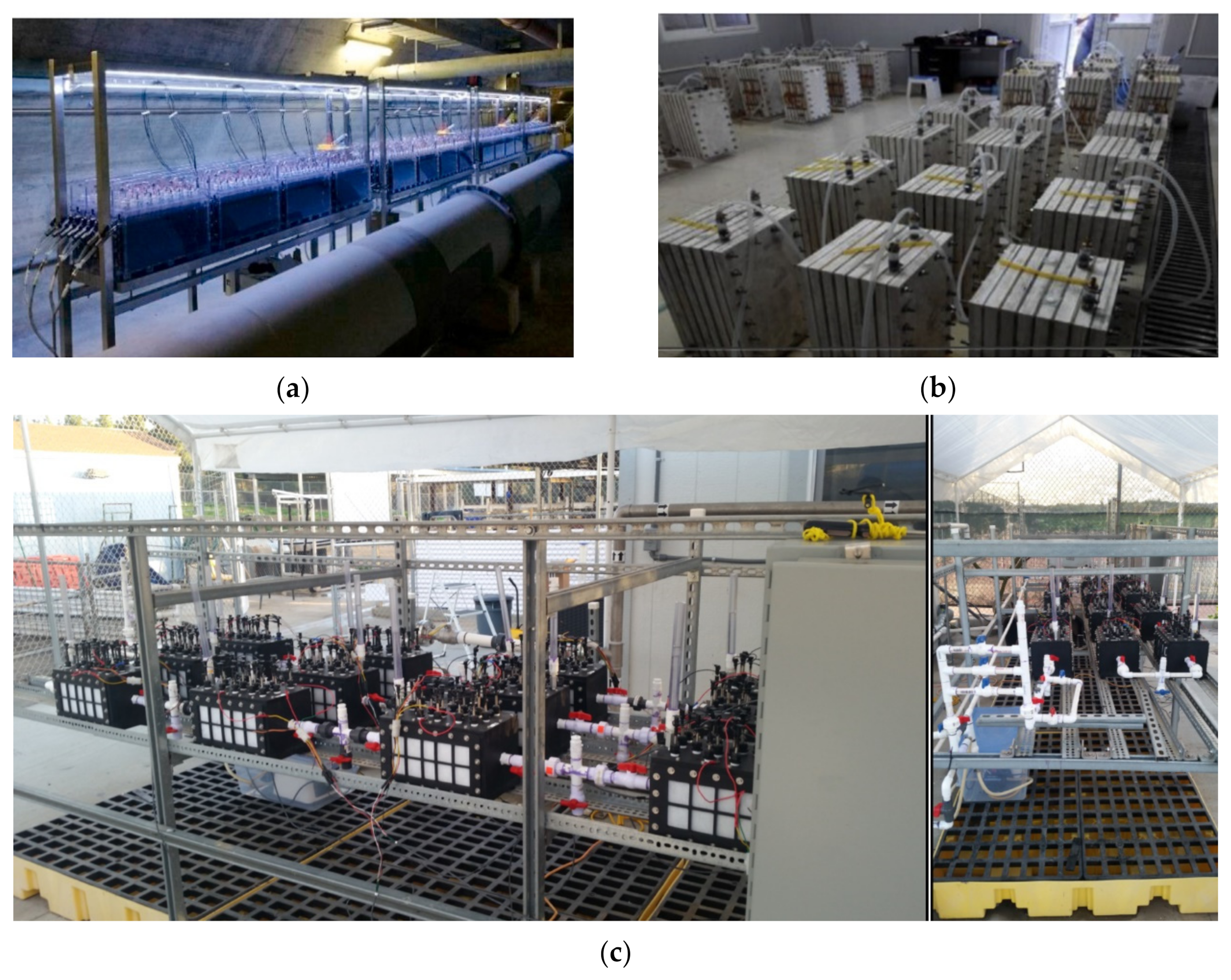Processes 09 00985 g003