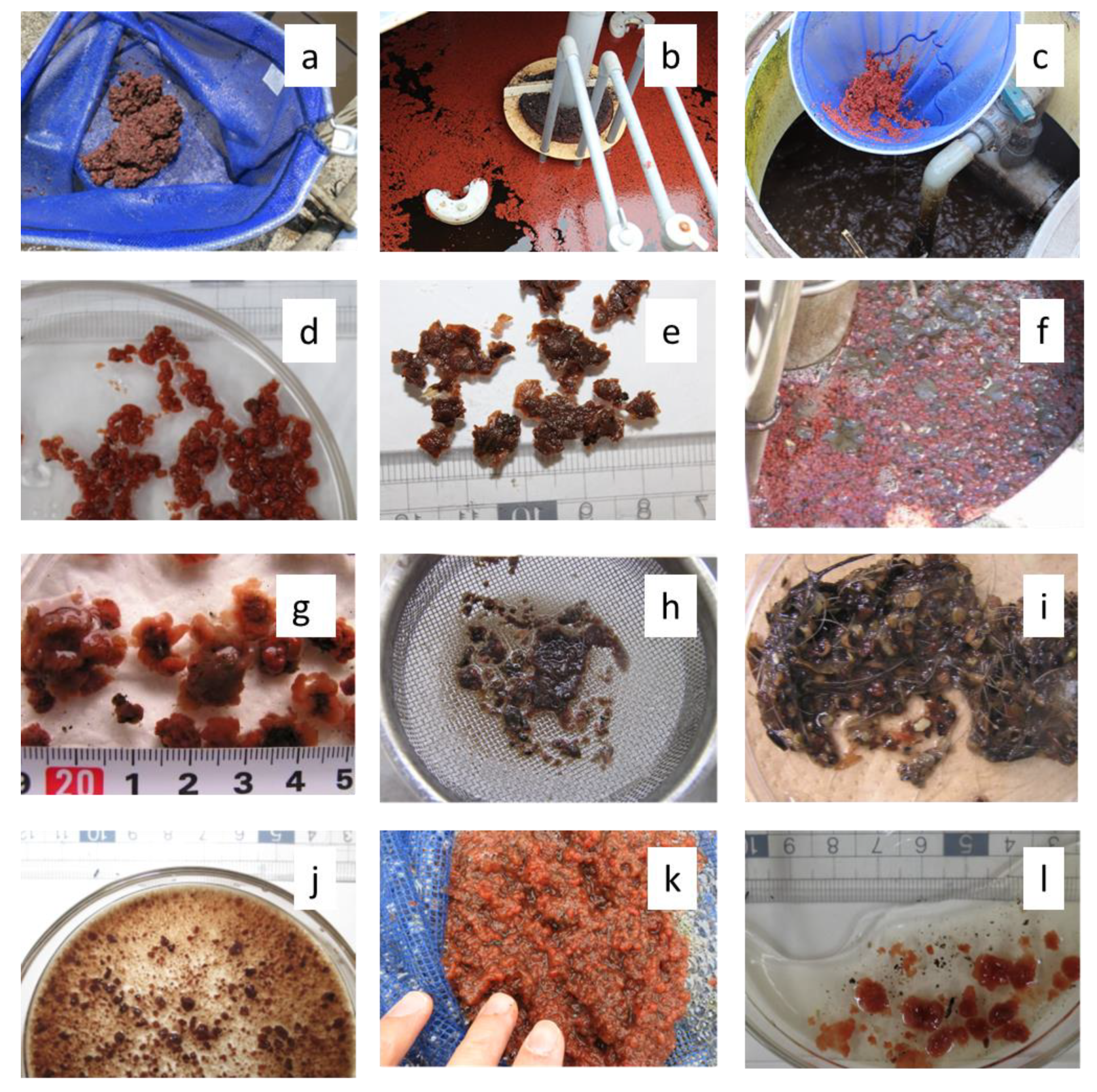 Processes 09 01010 g001 Processes 09 01010 g001