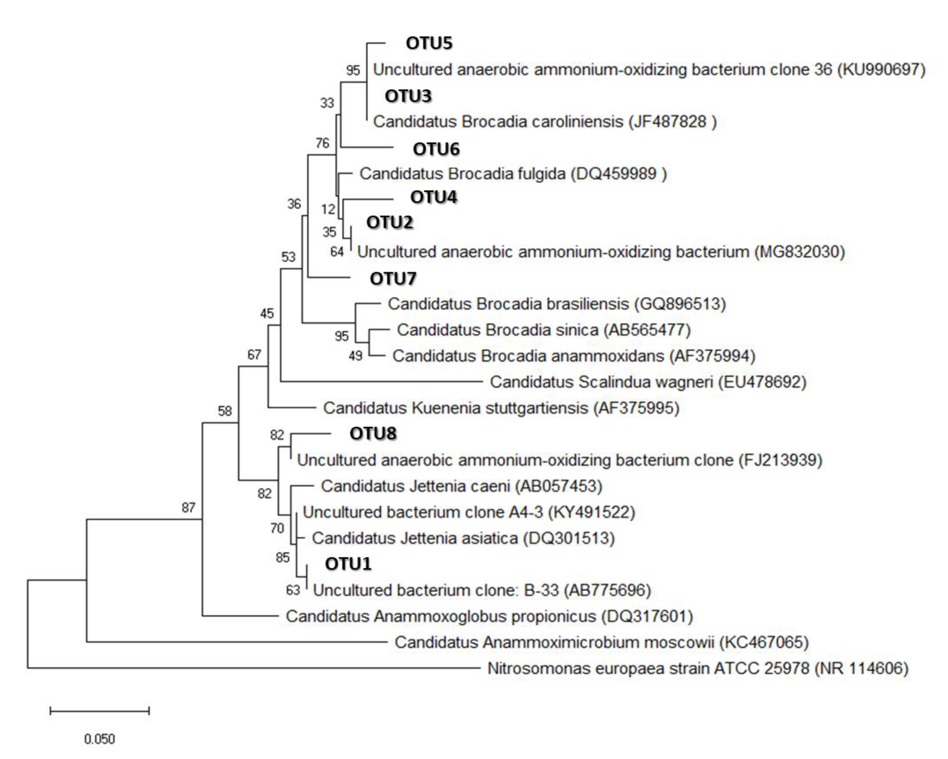 Processes 09 01010 g004 Processes 09 01010 g004