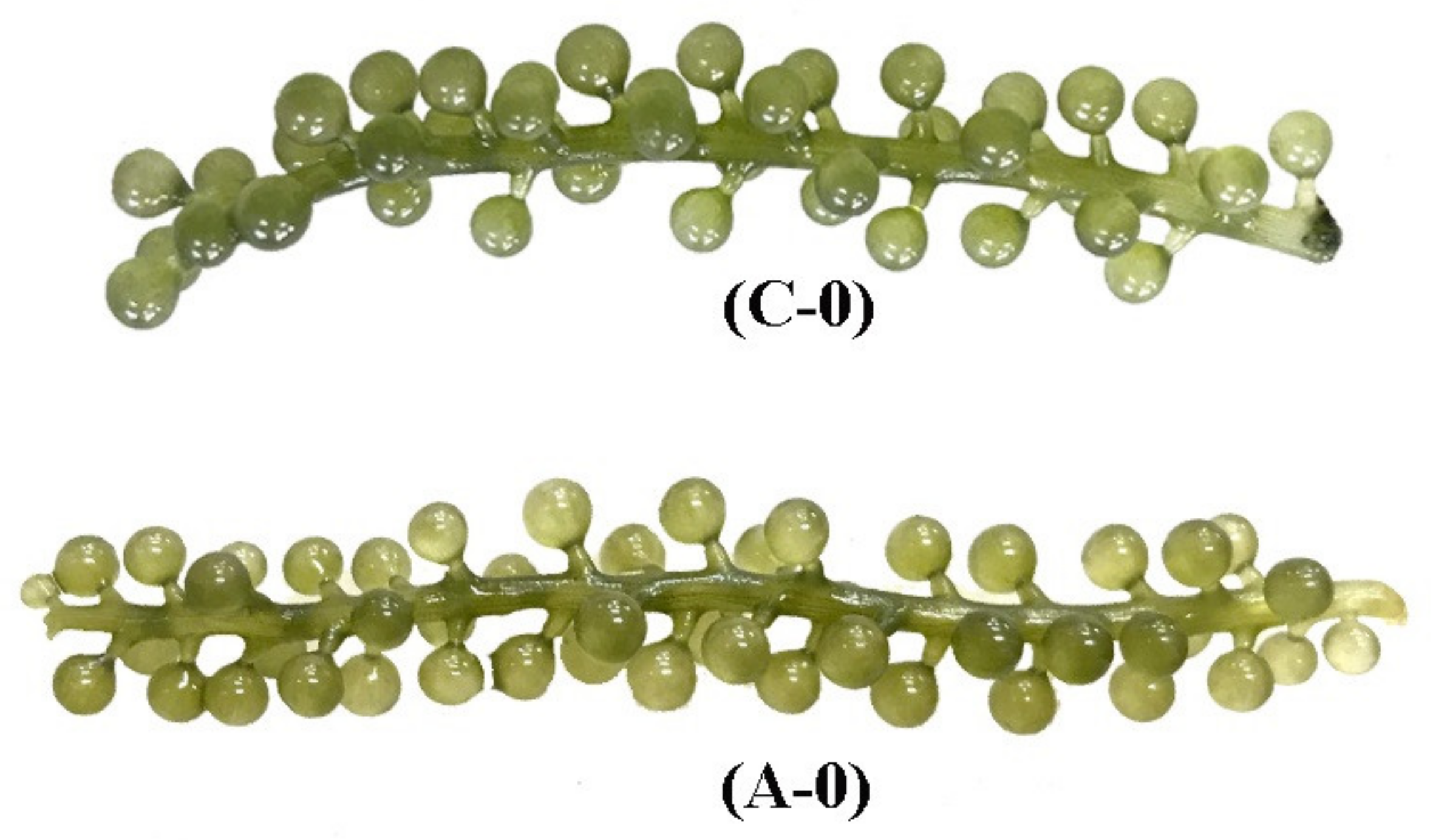 Processes 09 01011 g007a Processes 09 01011 g007a