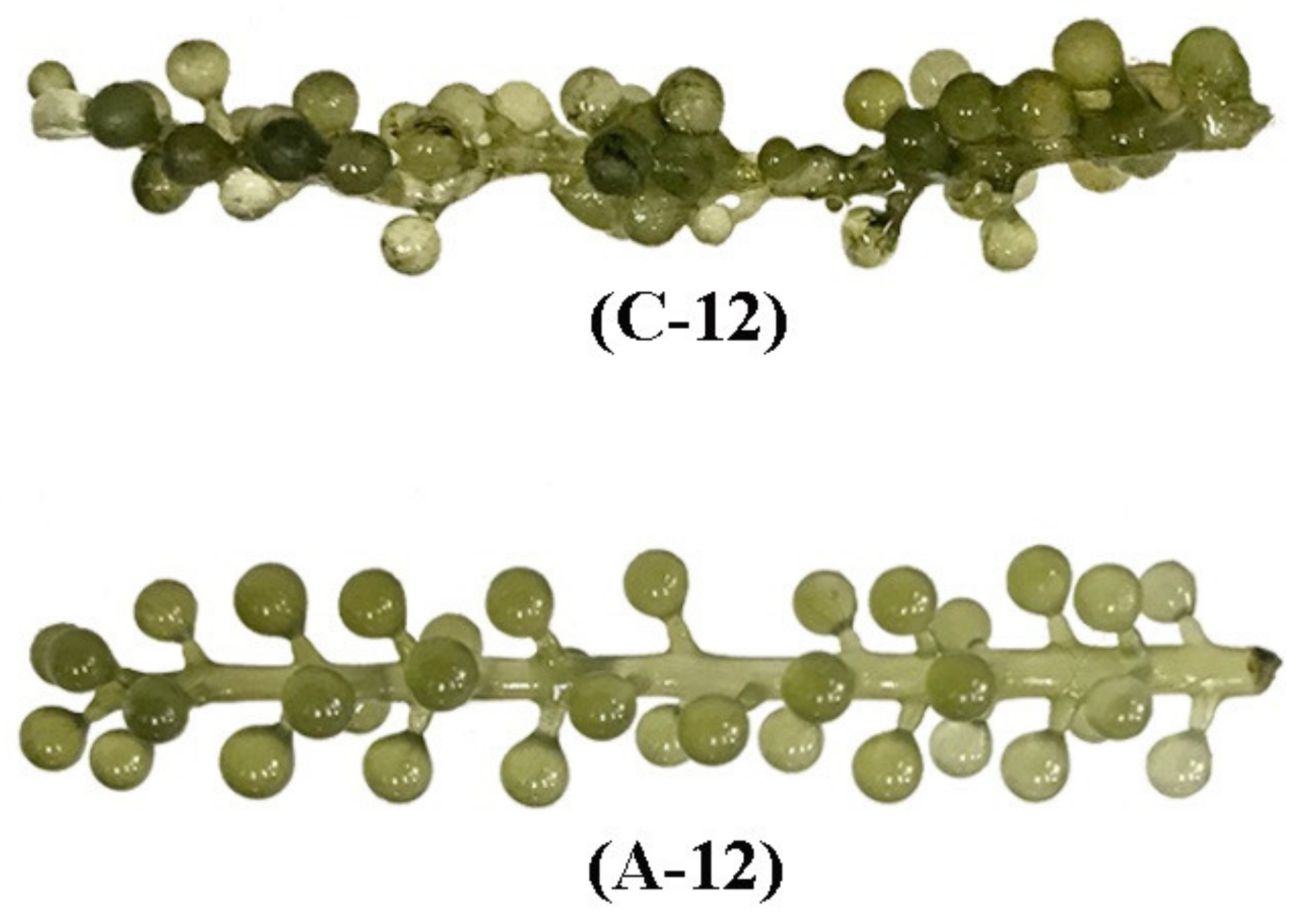Processes 09 01011 g007c Processes 09 01011 g007c