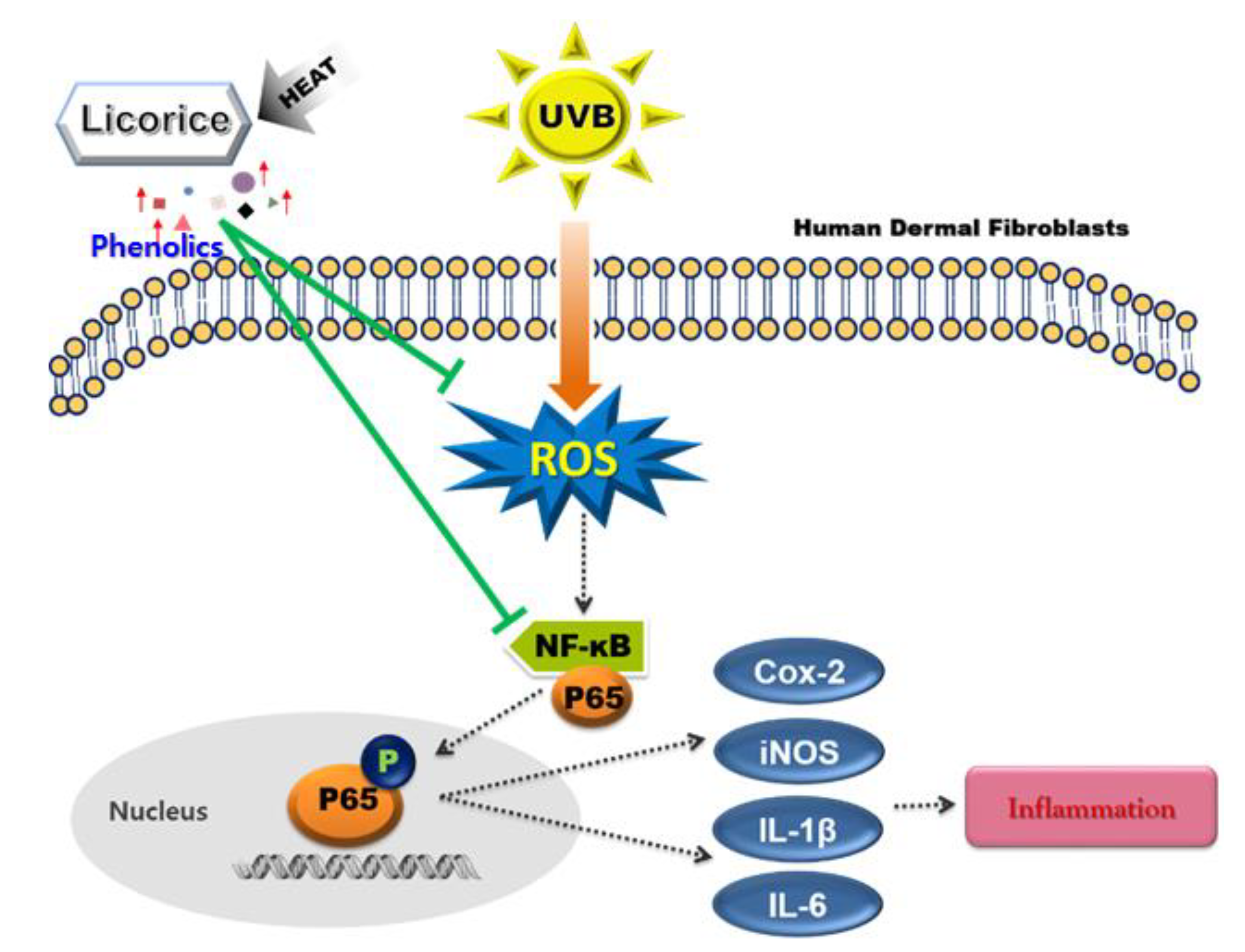 Processes 09 01040 g006 Processes 09 01040 g006