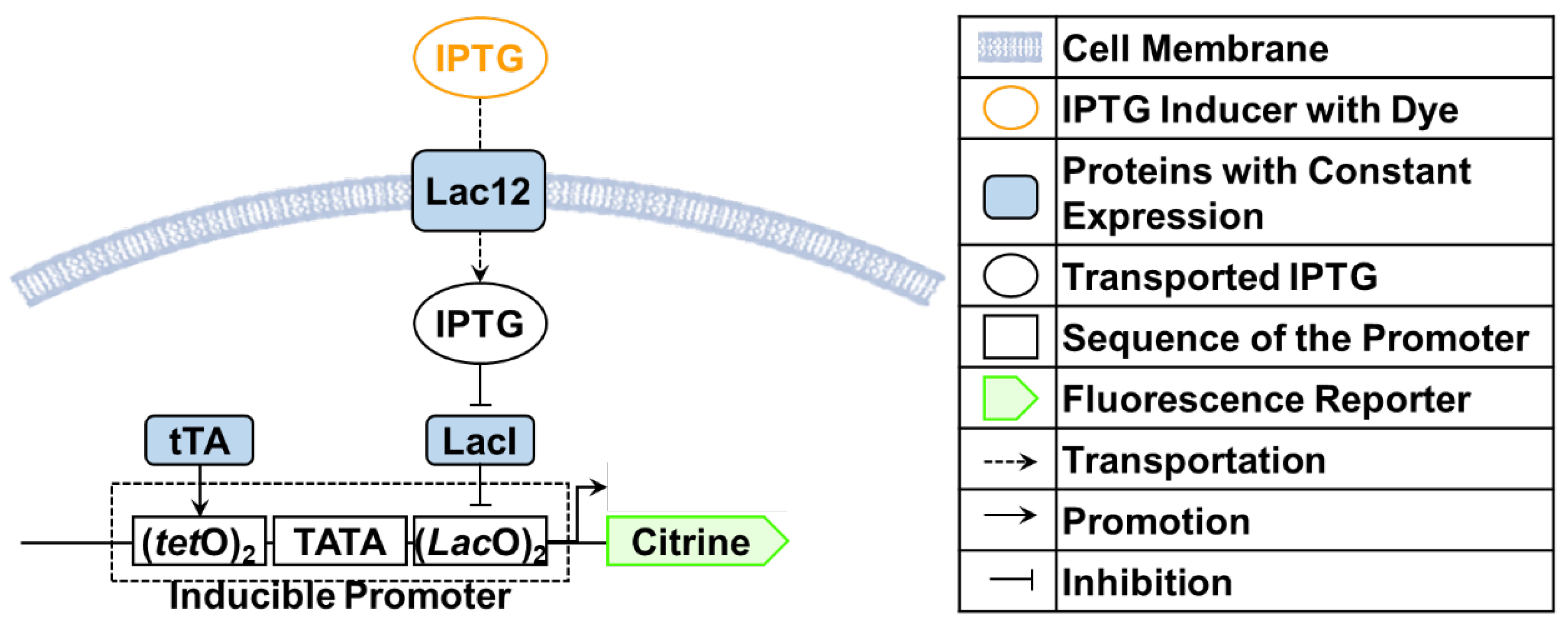 Processes 09 01053 g001