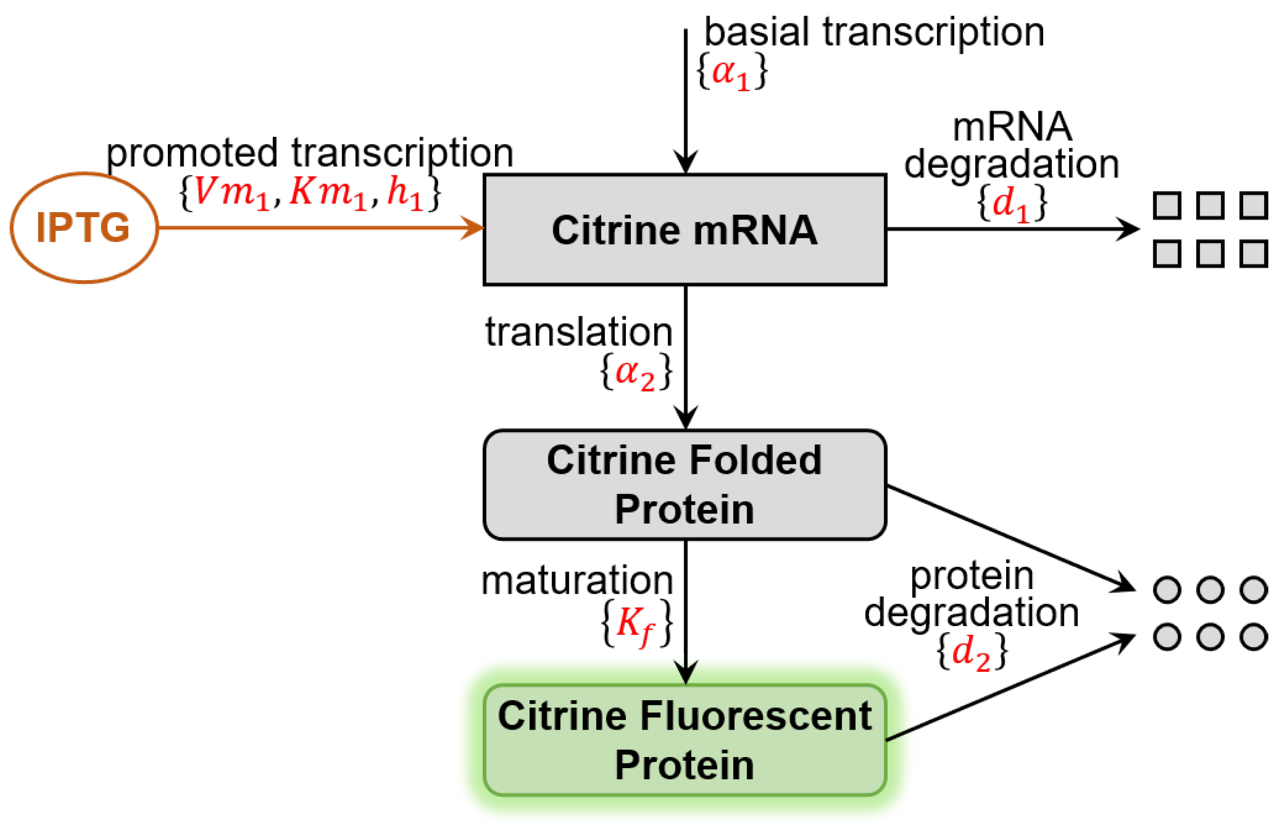 Processes 09 01053 g002