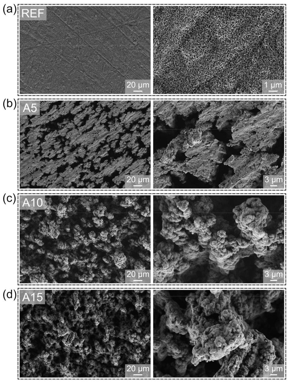 Processes 09 01058 g002 Processes 09 01058 g002