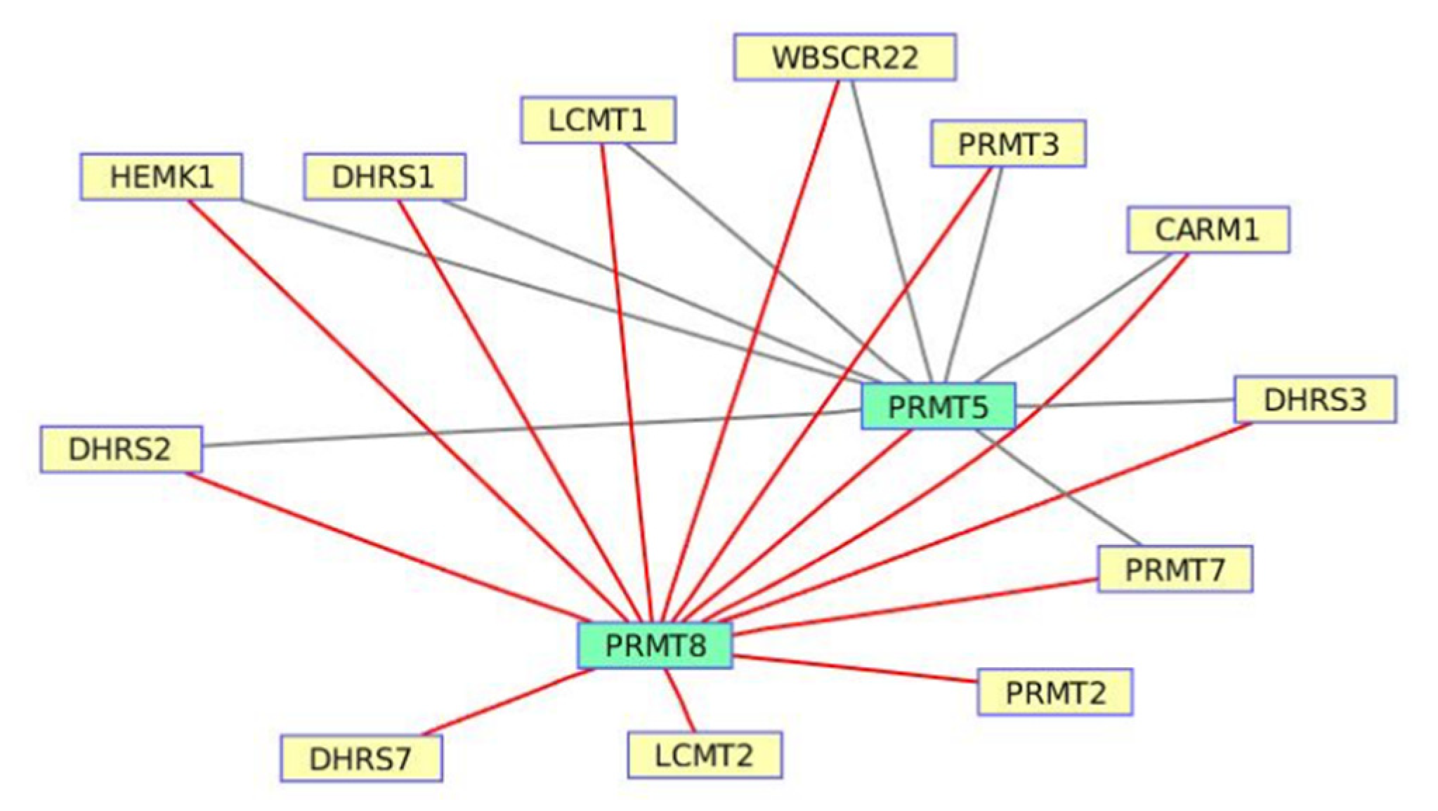 Processes 09 01063 g006 Processes 09 01063 g006