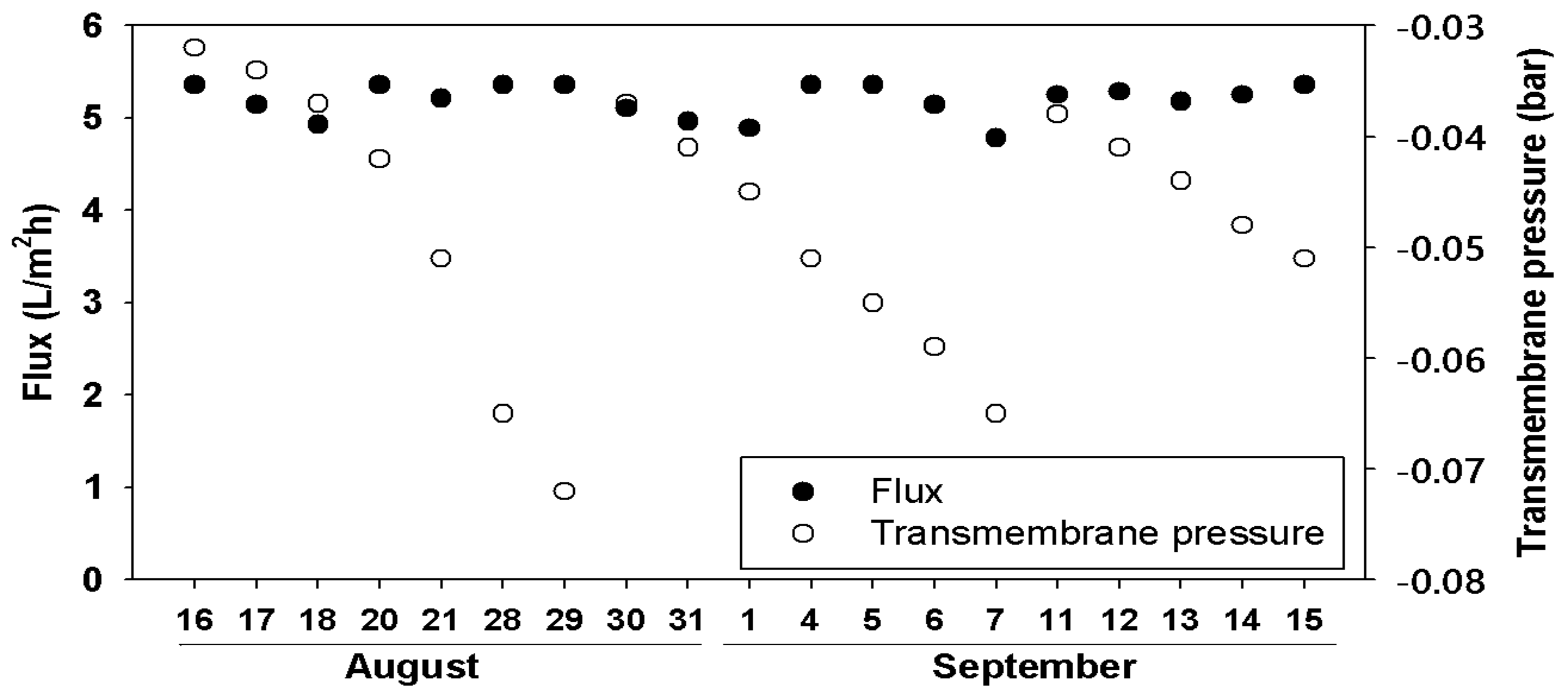 Processes 09 01068 g004