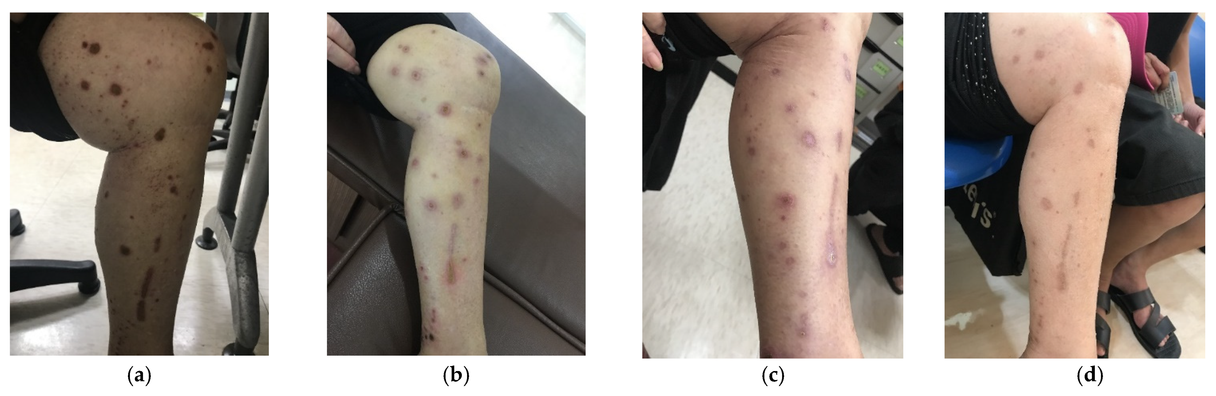 Processes 09 01081 g005