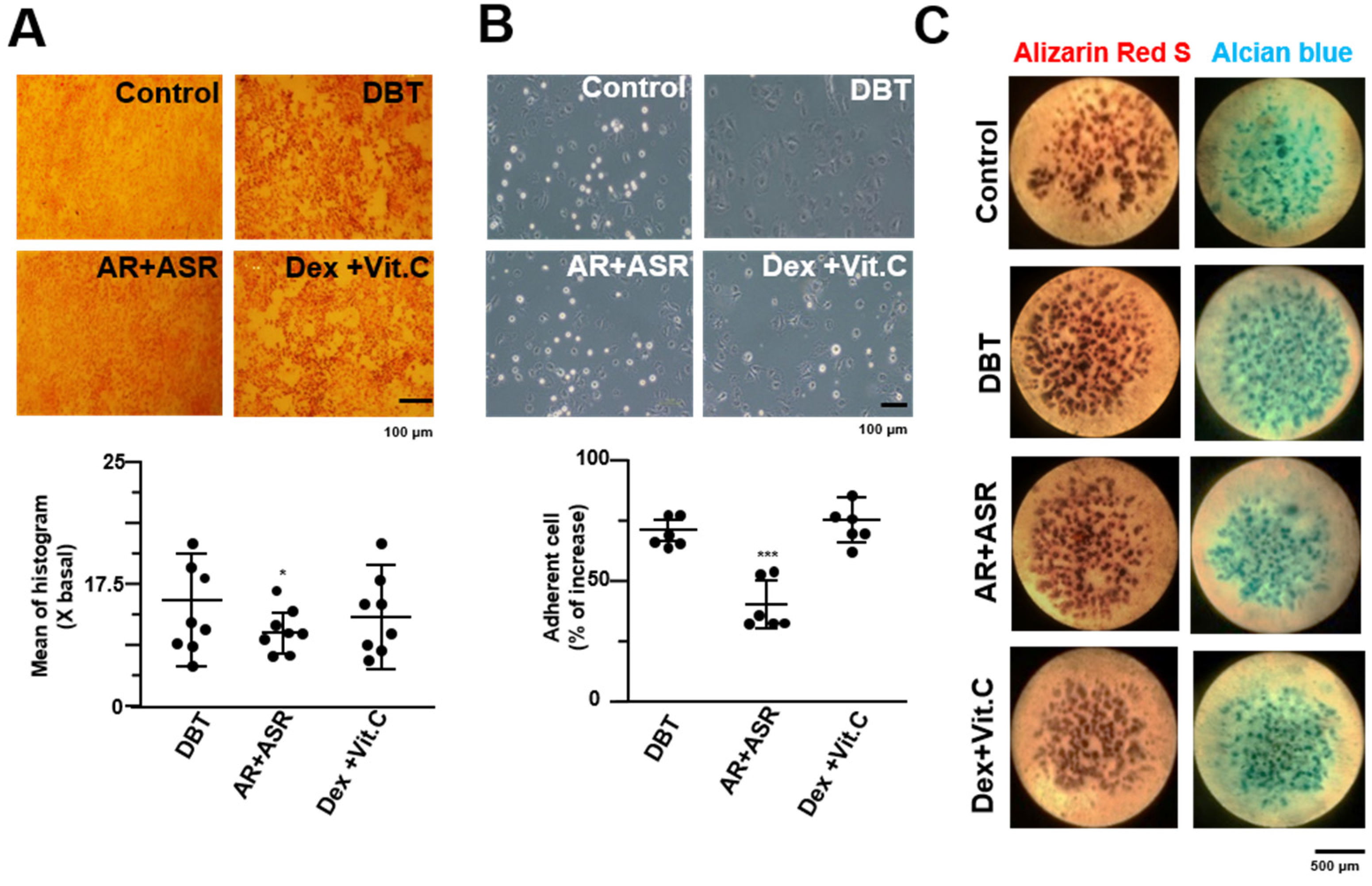 Processes 09 01119 g002