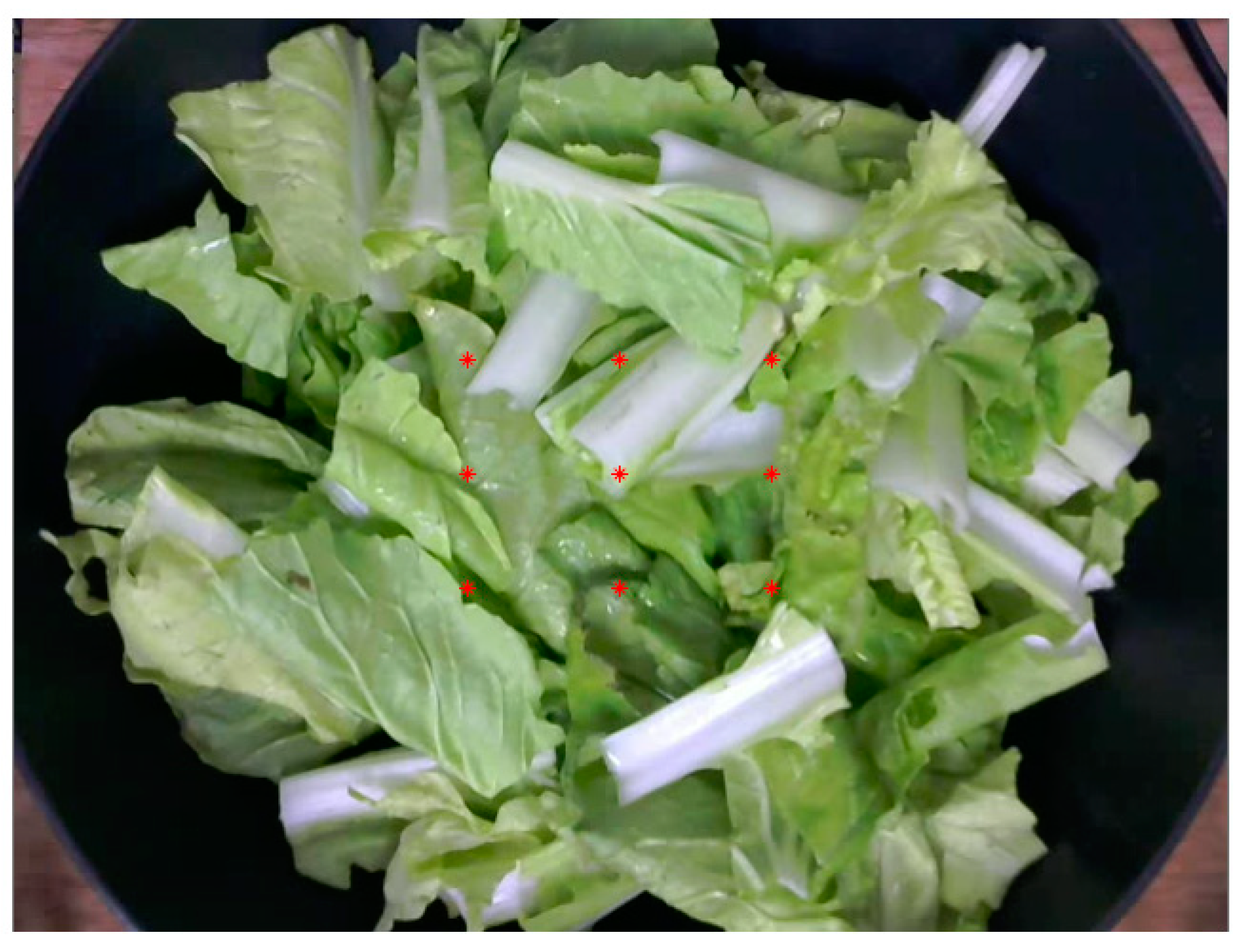 Processes 09 01128 g008