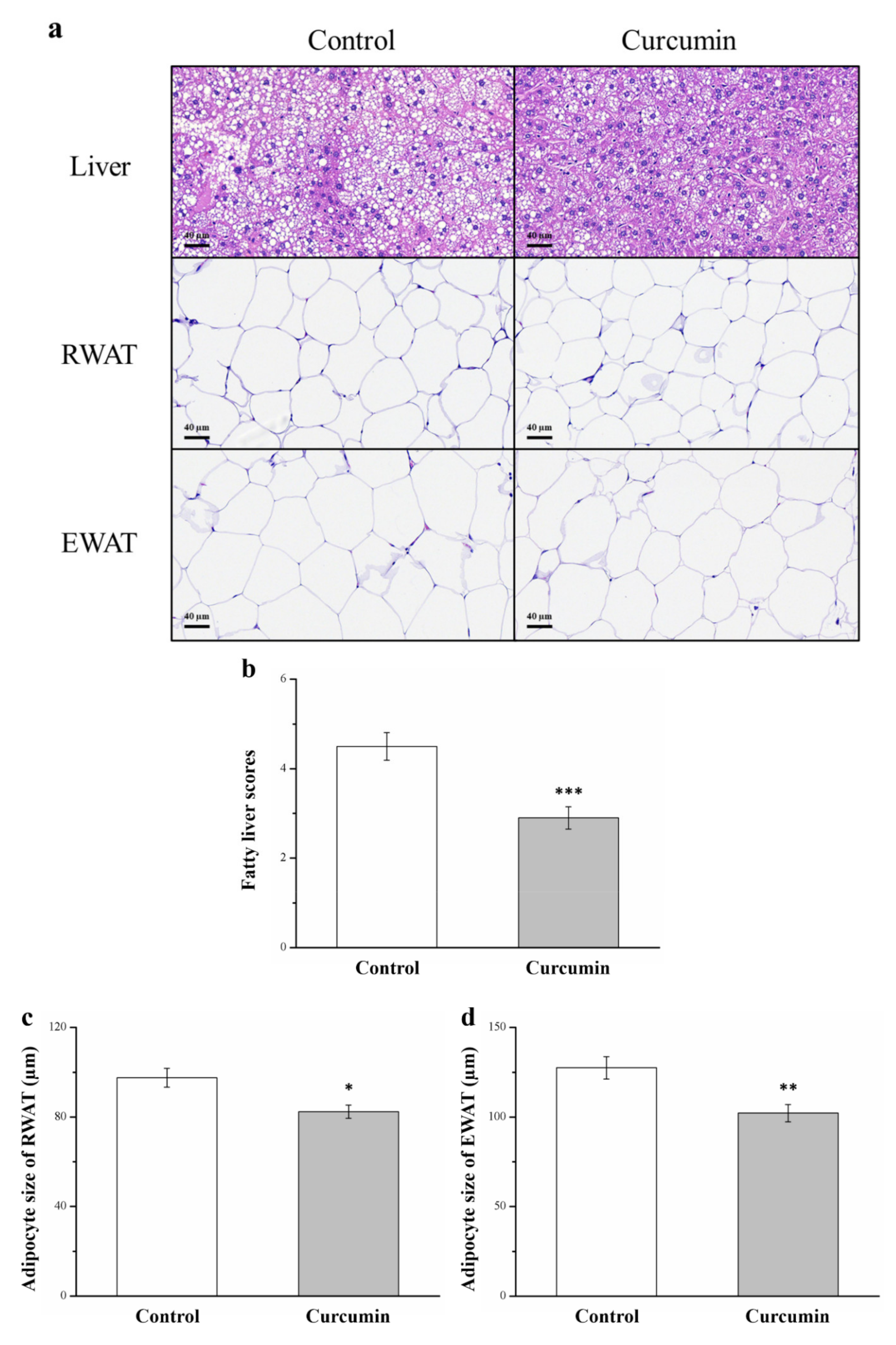 Processes 09 01132 g002