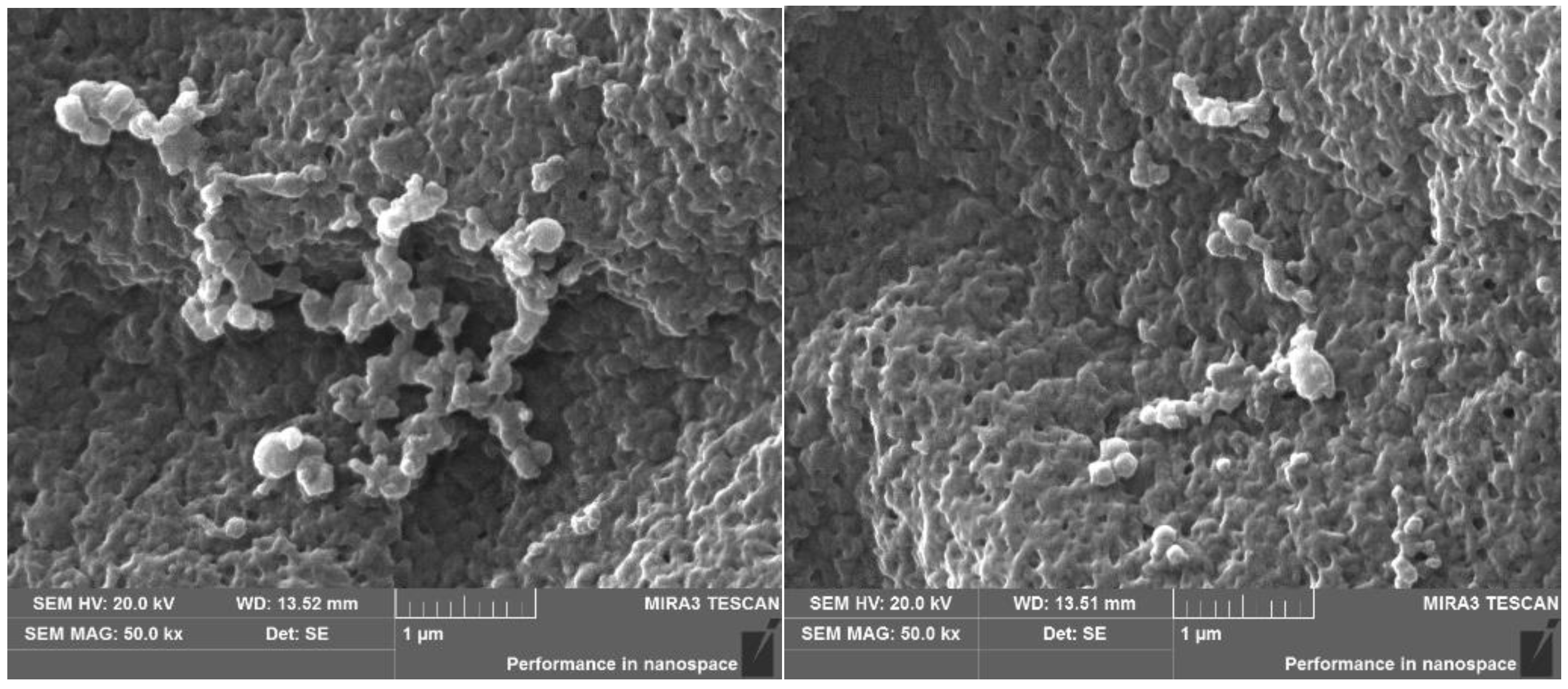 Processes 09 01145 g002
