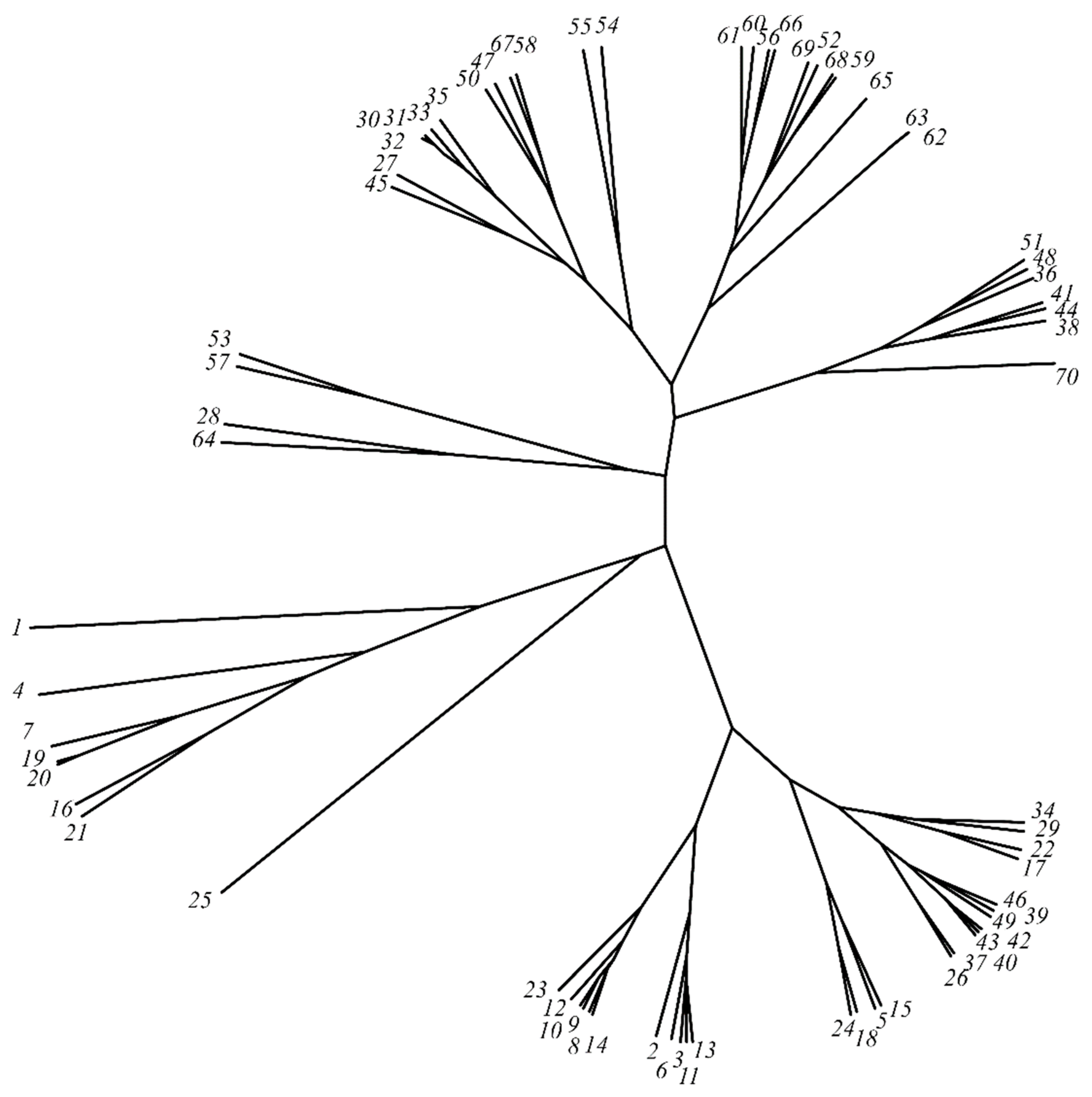 Processes 09 01152 g002