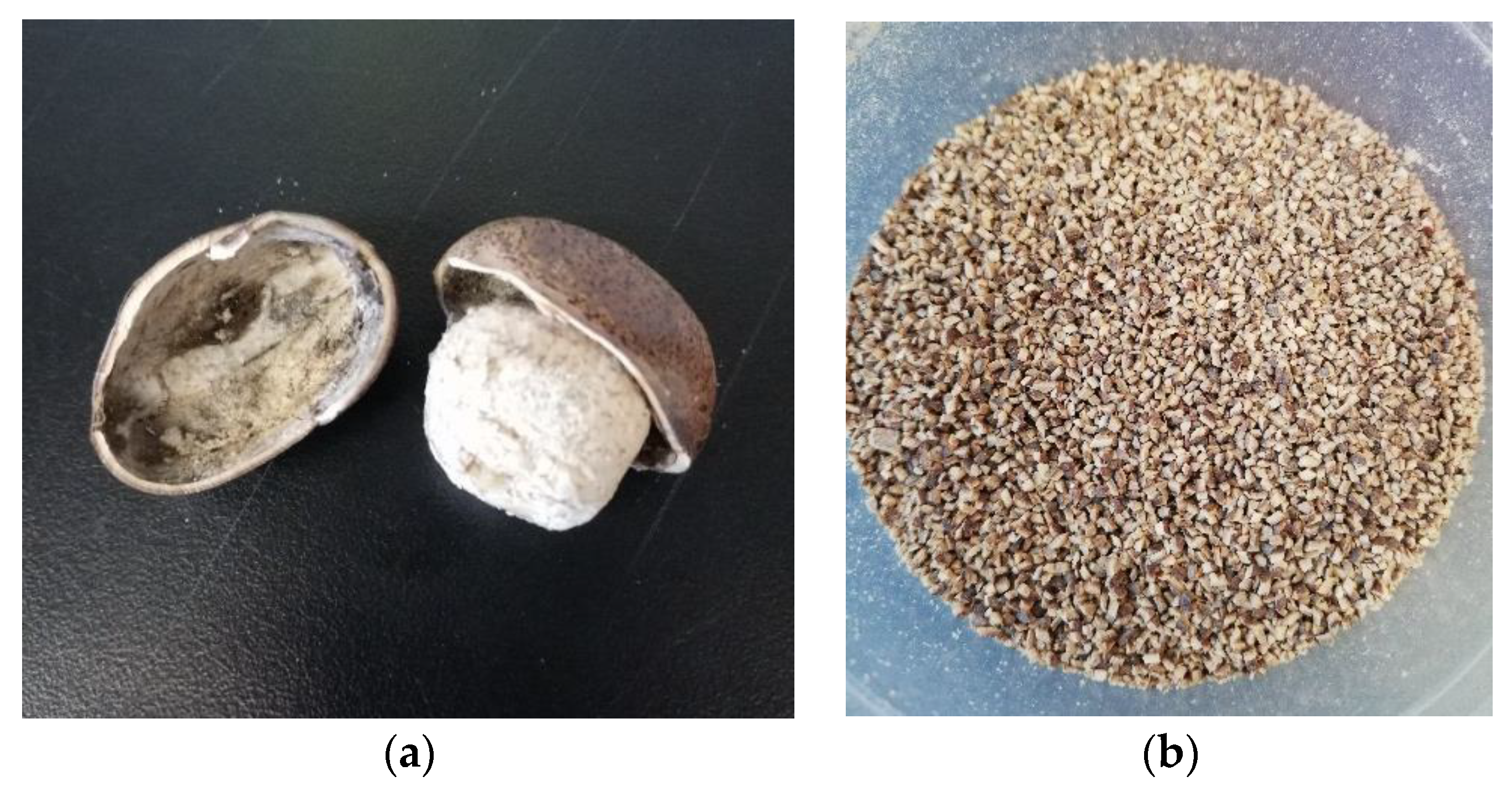 Processes 09 01161 g001
