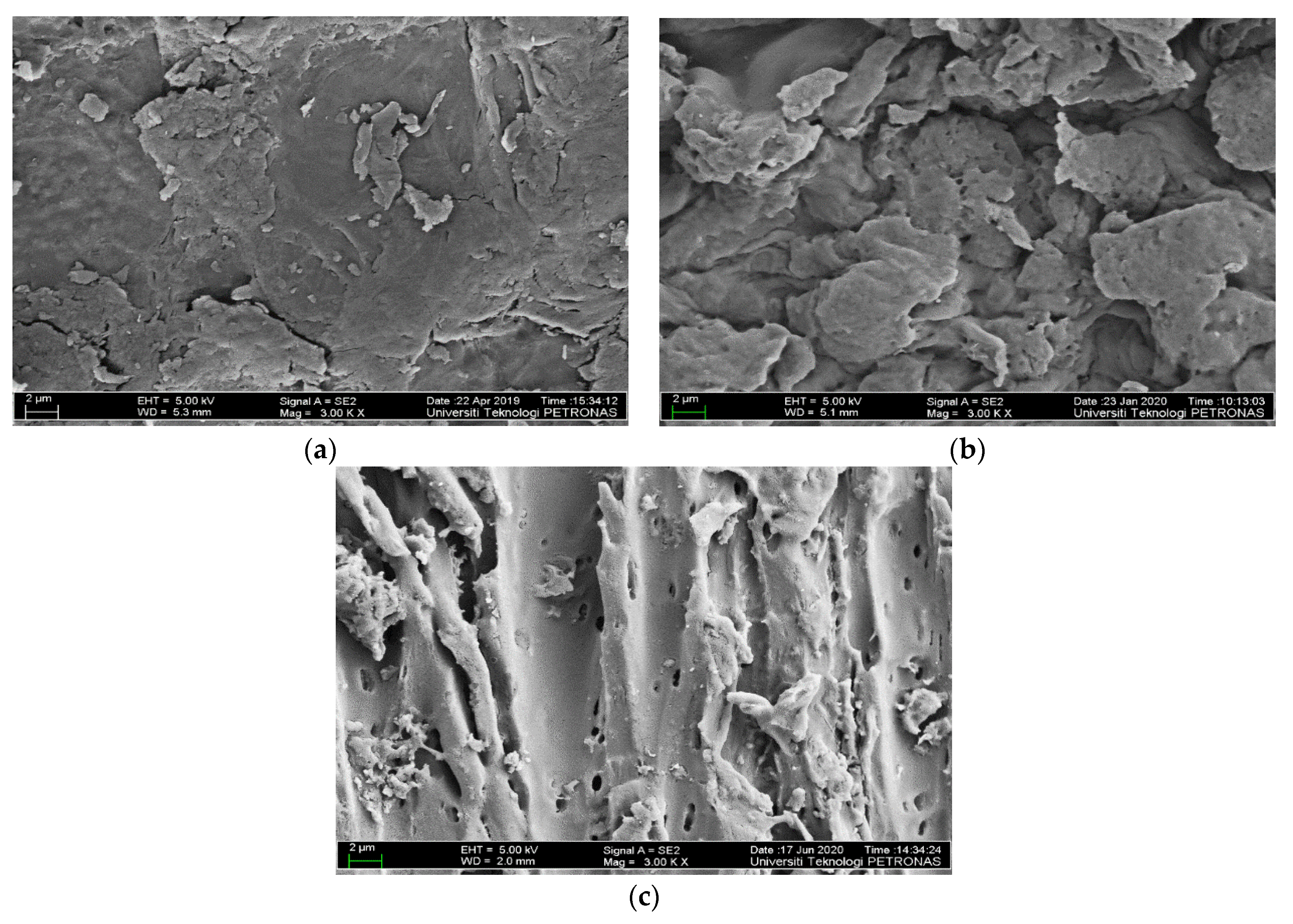 Processes 09 01161 g006