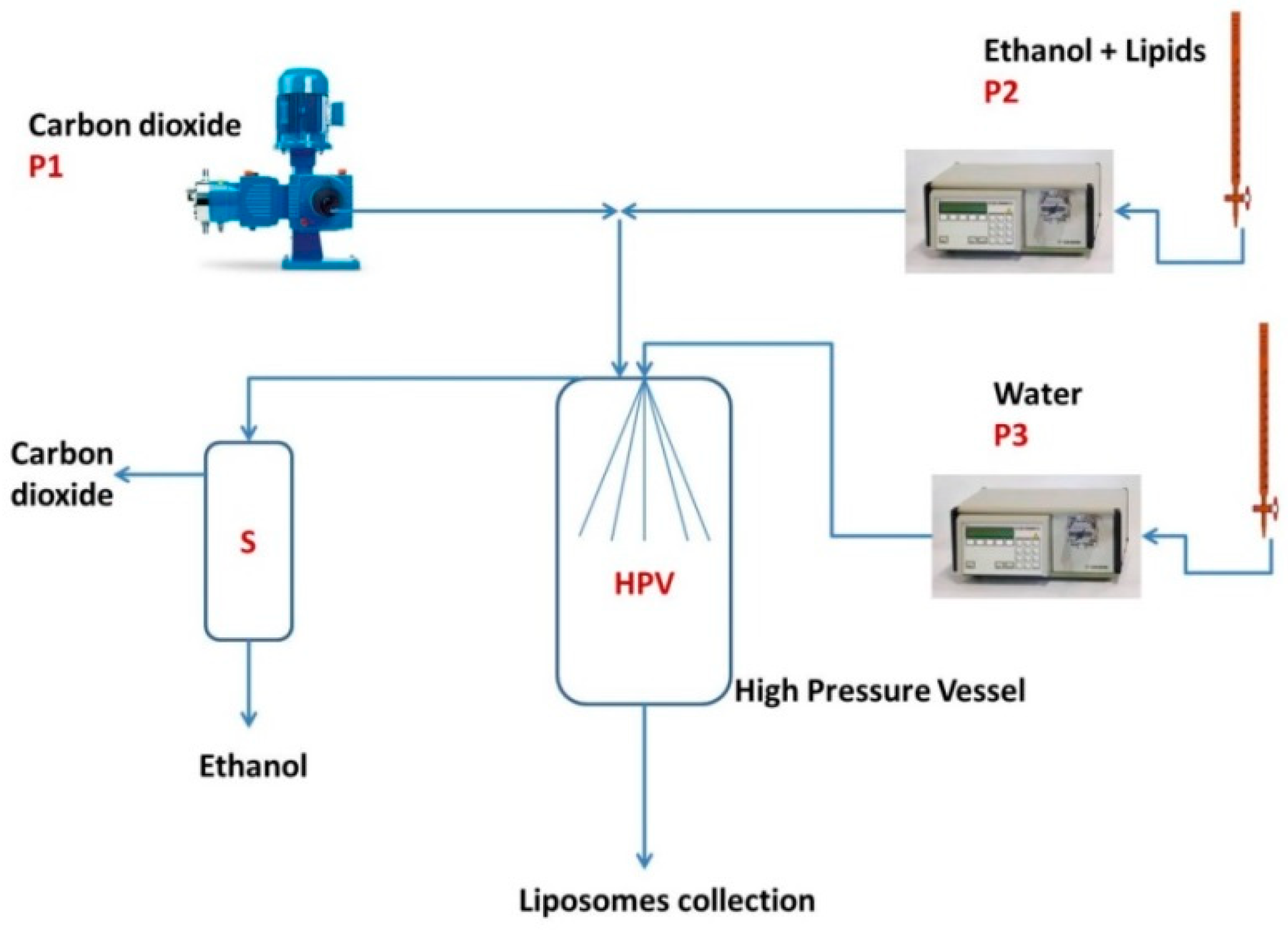 Processes 09 01162 g001 550