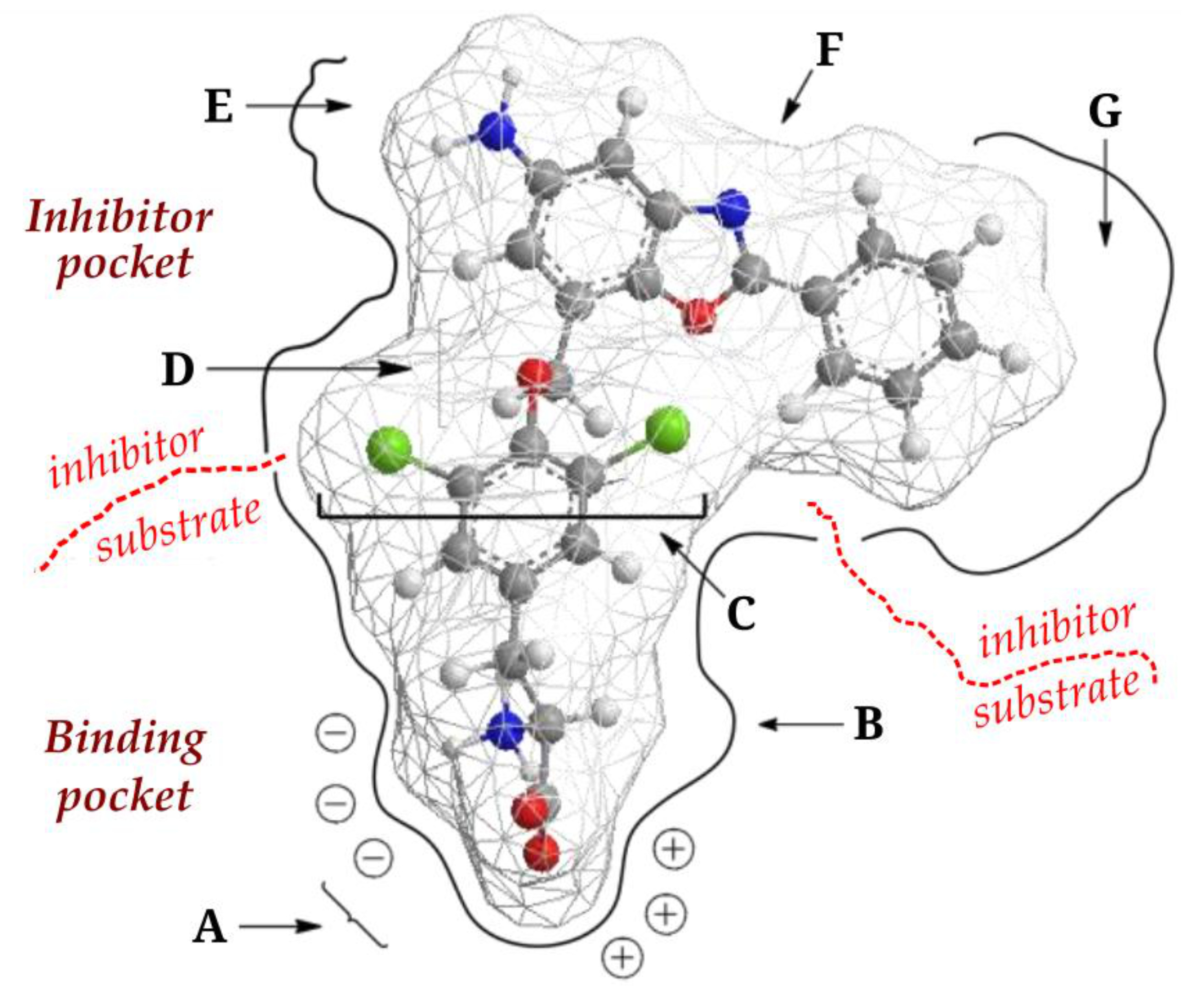 Processes 09 01170 g004
