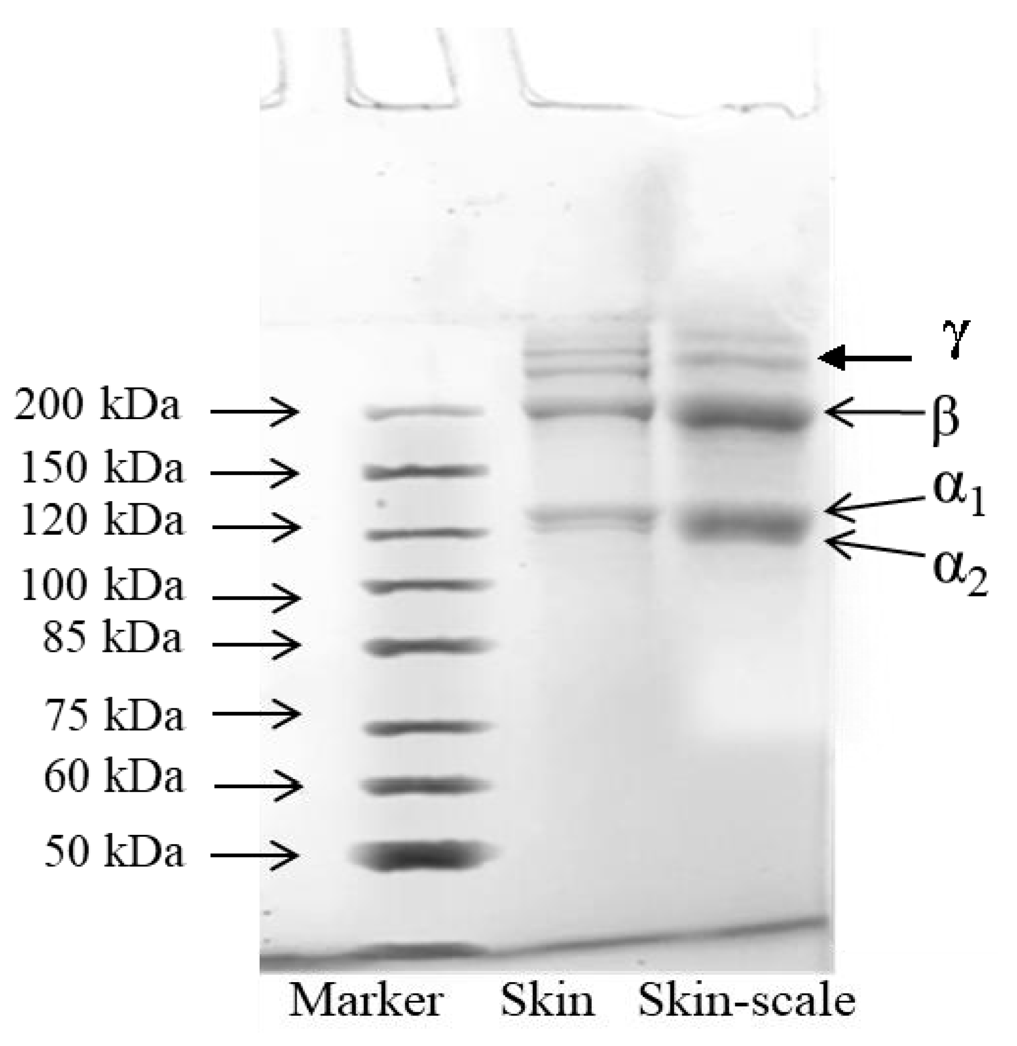 Processes 09 01188 g003 550