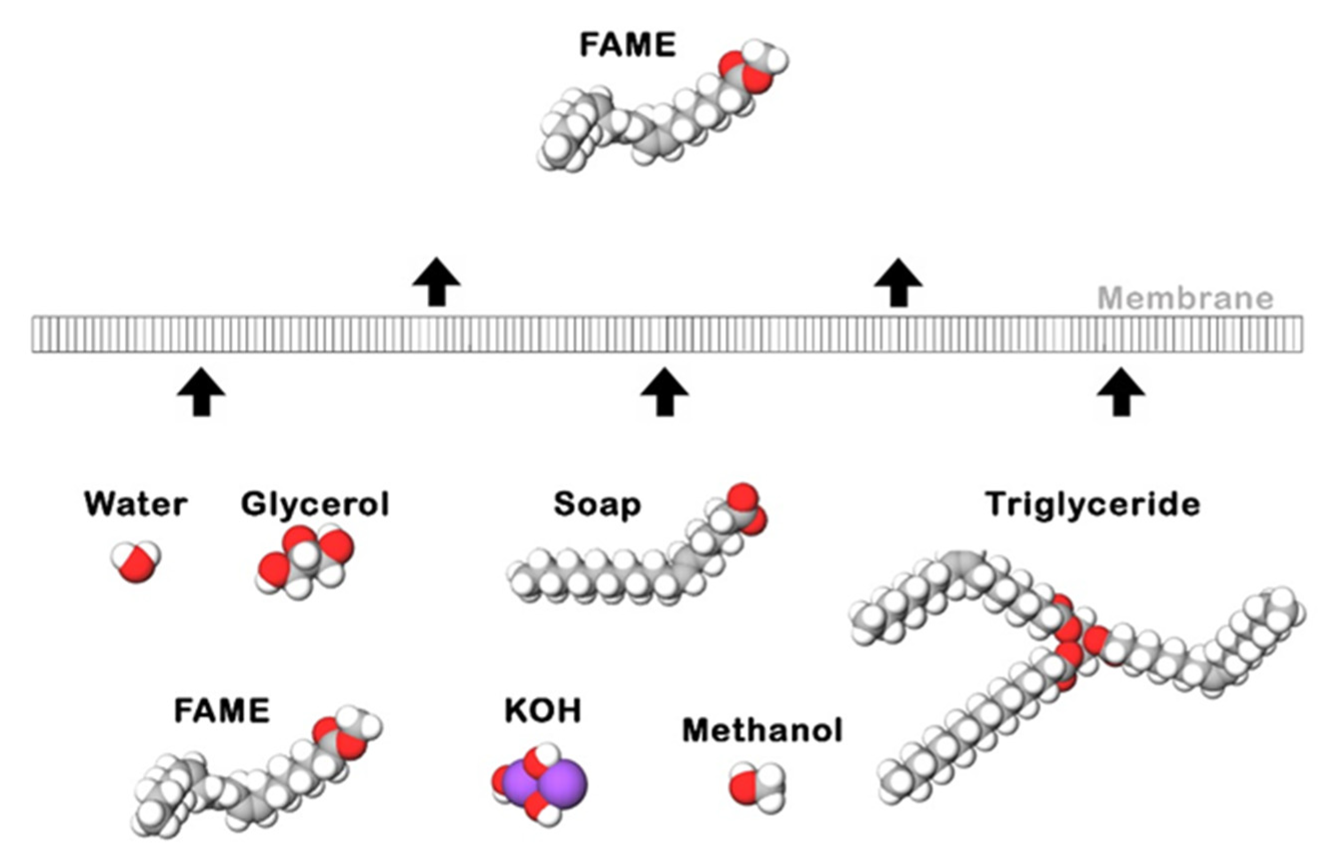 Processes 09 01198 g003 Processes 09 01198 g003
