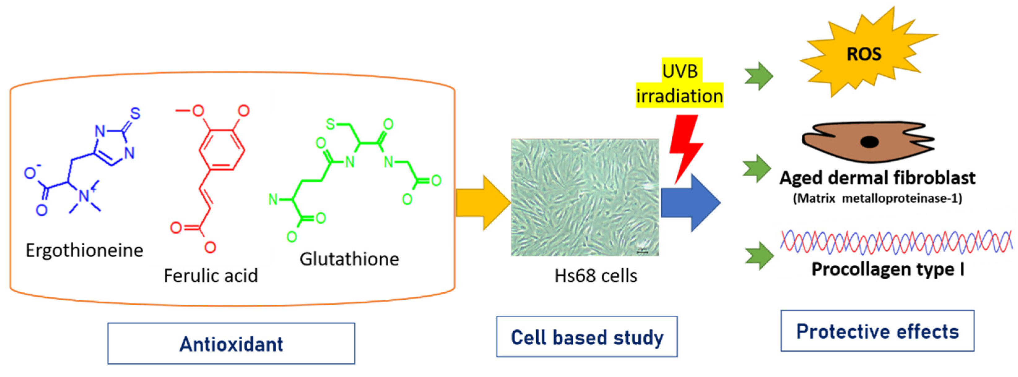 Processes 09 01204 g001