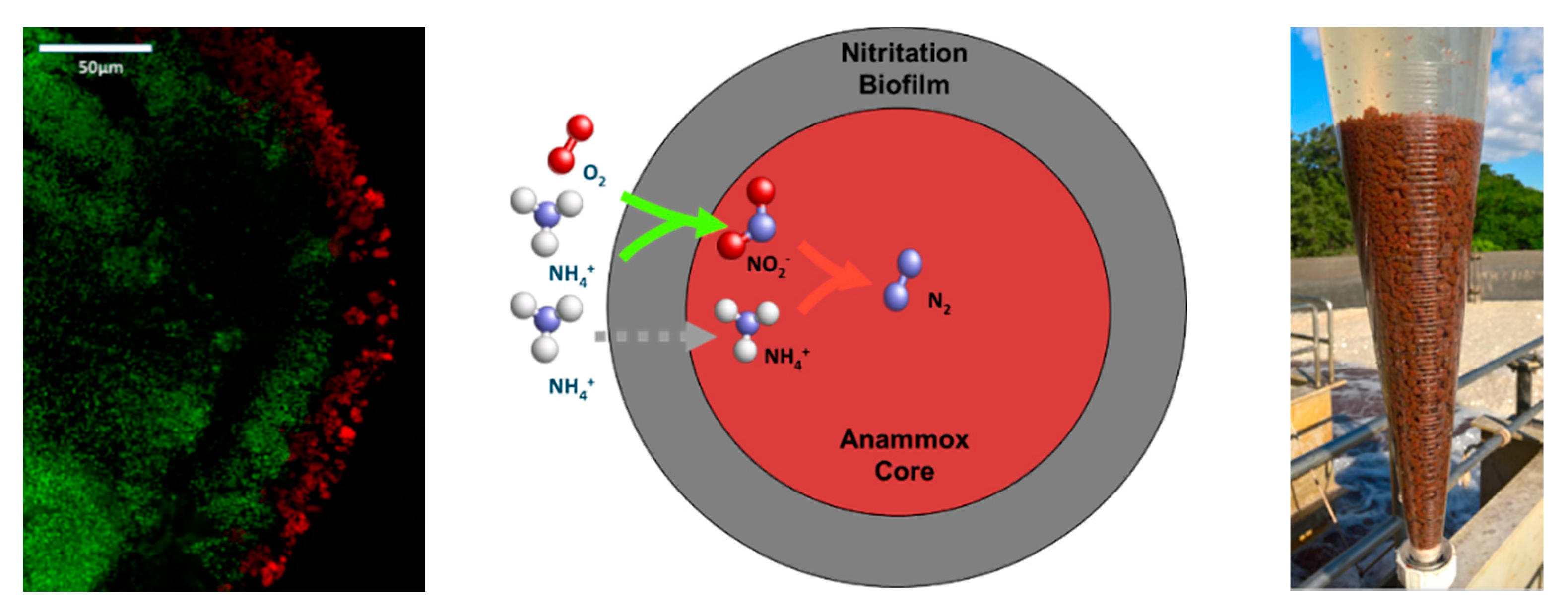 Processes 09 01207 g004