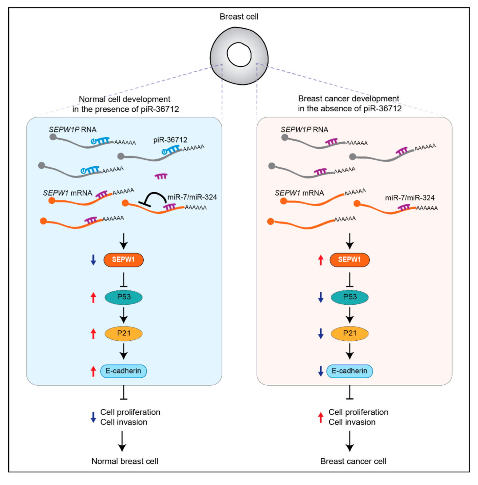 Processes 09 01208 g002