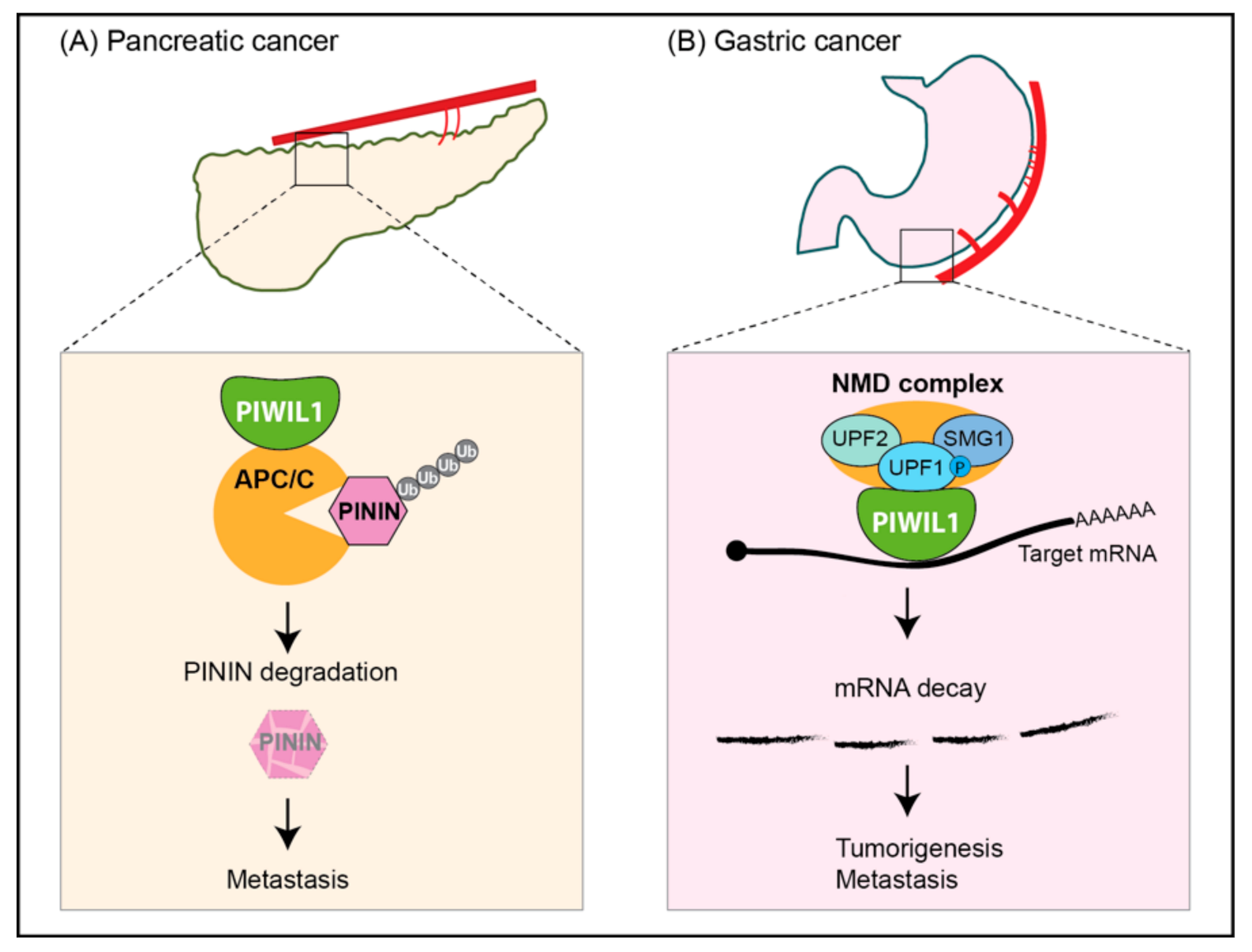 Processes 09 01208 g004