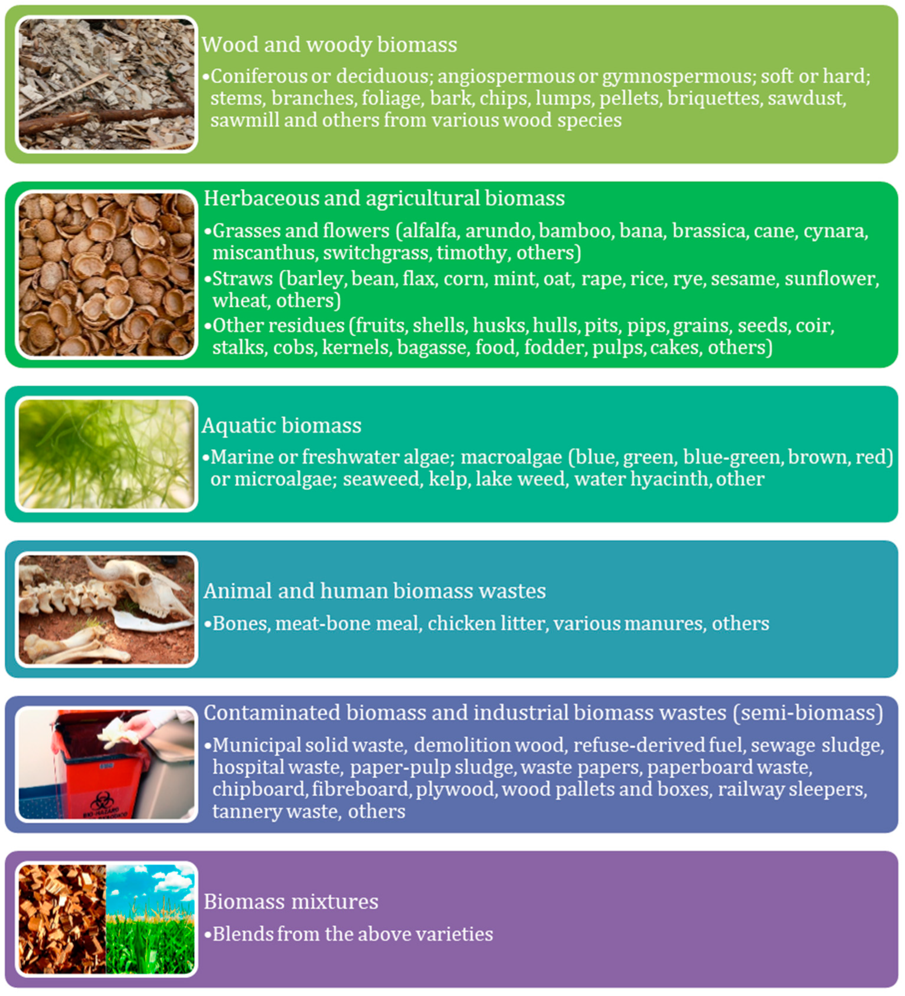 Processes 09 01214 g001