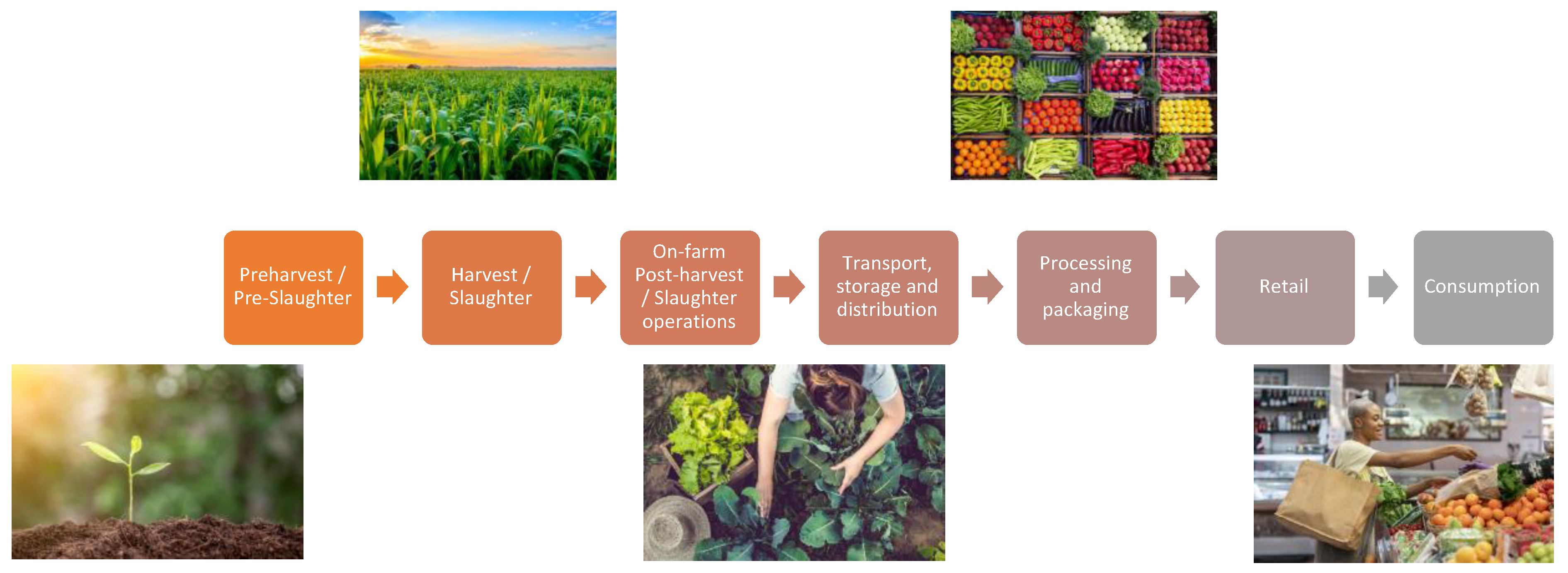 Processes 09 01232 g004 550