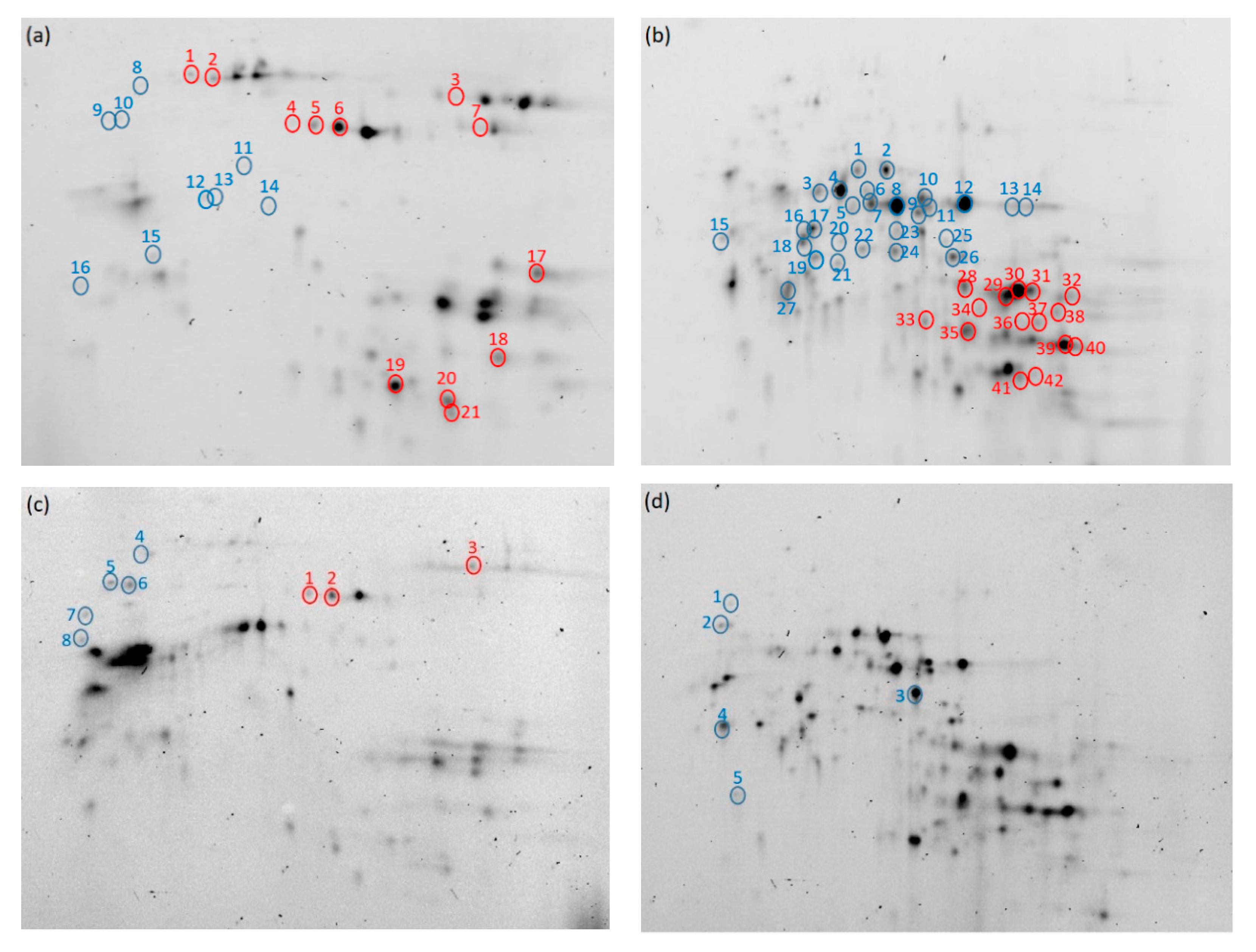 Processes 09 01244 g006