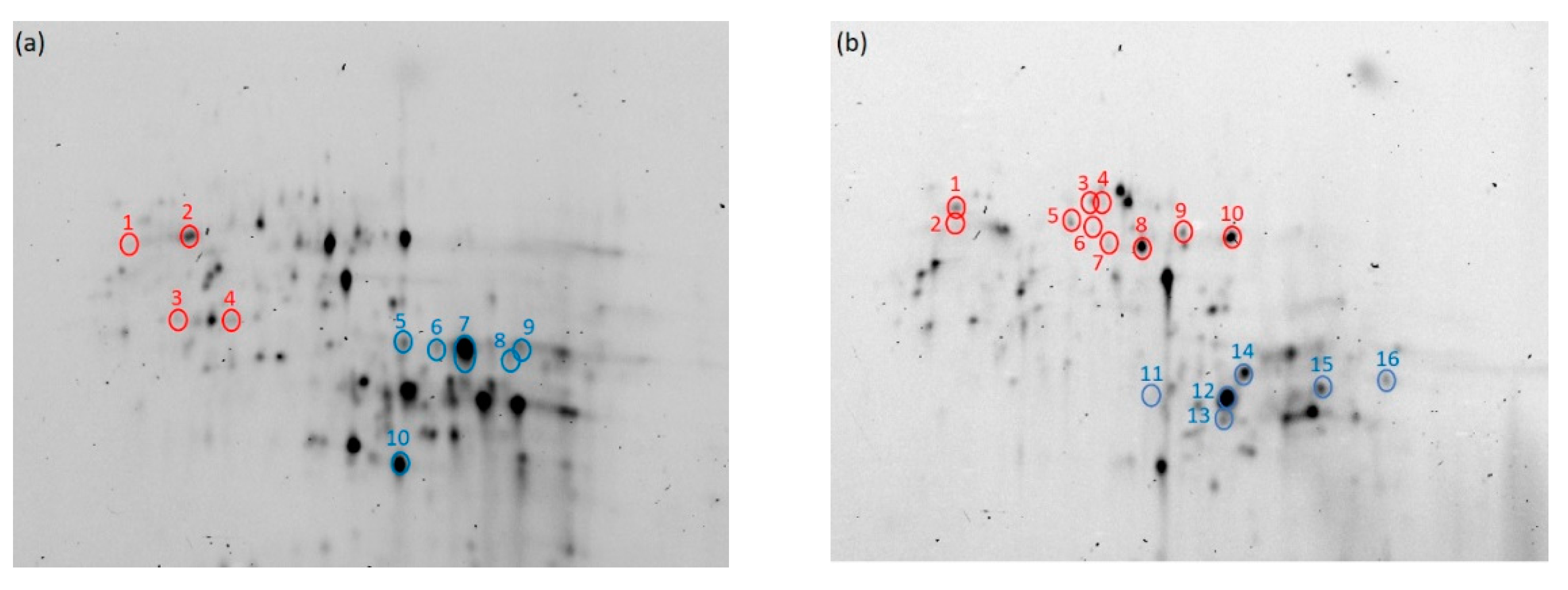 Processes 09 01244 g007