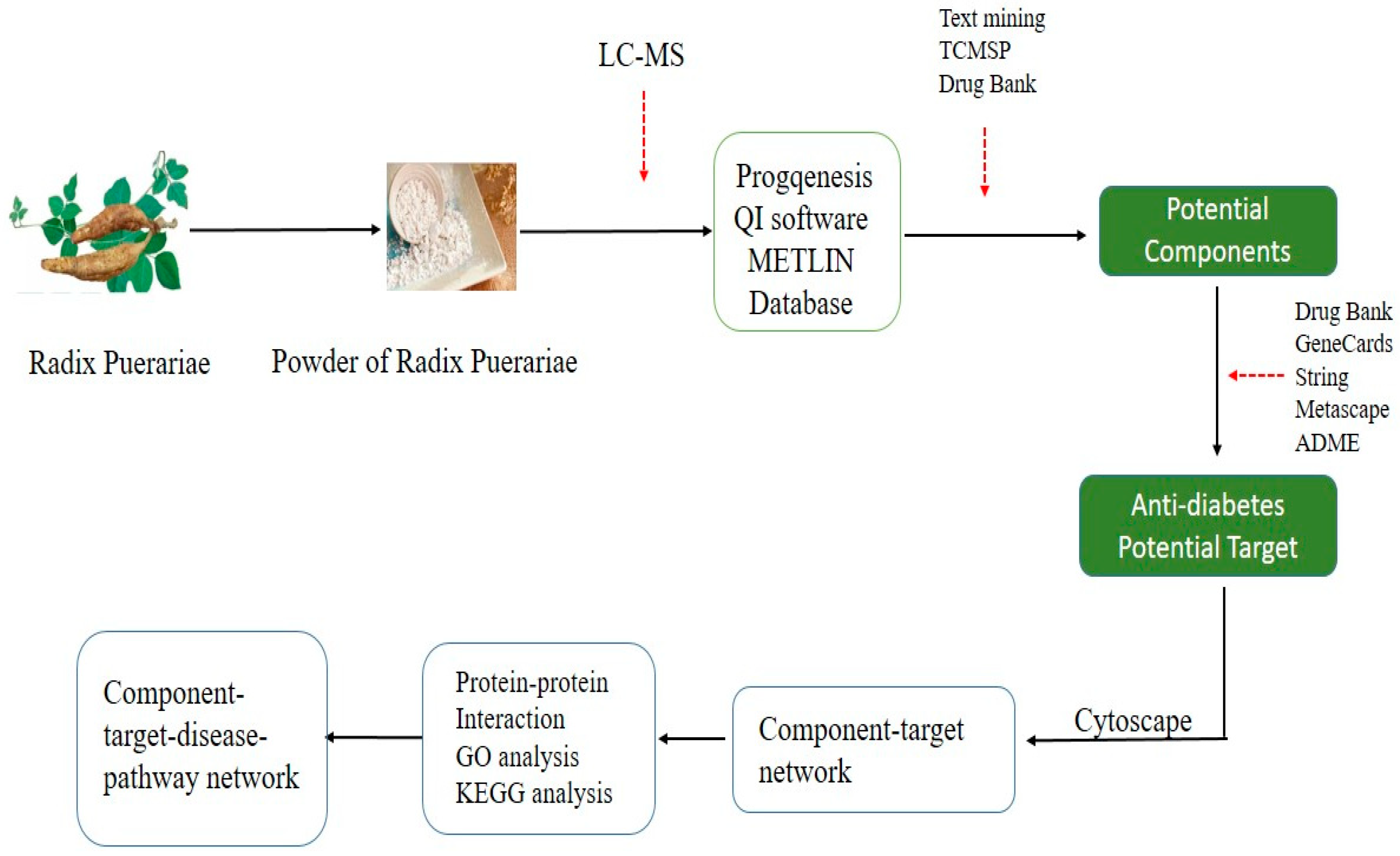 Processes 09 01245 g001