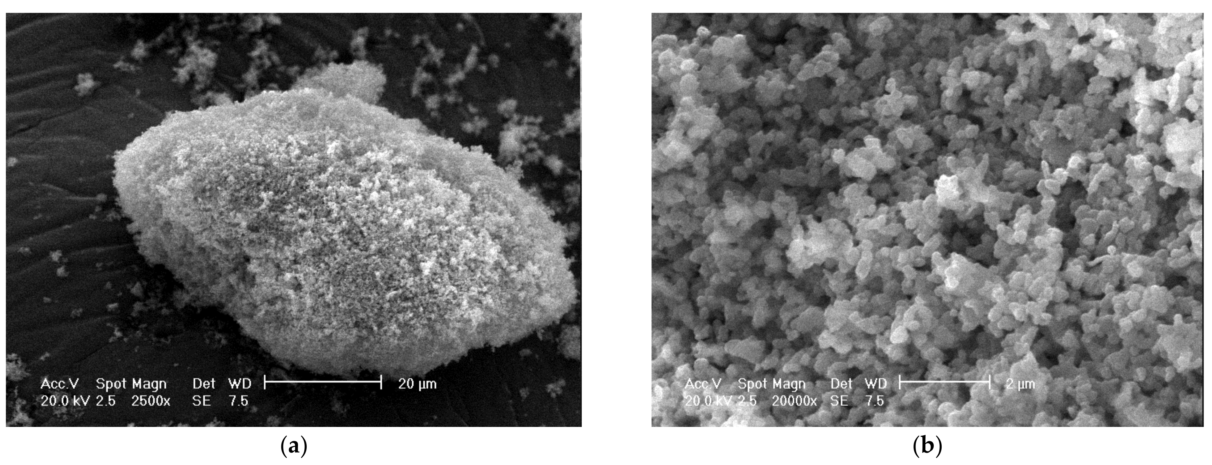 Processes 09 01249 g005 550