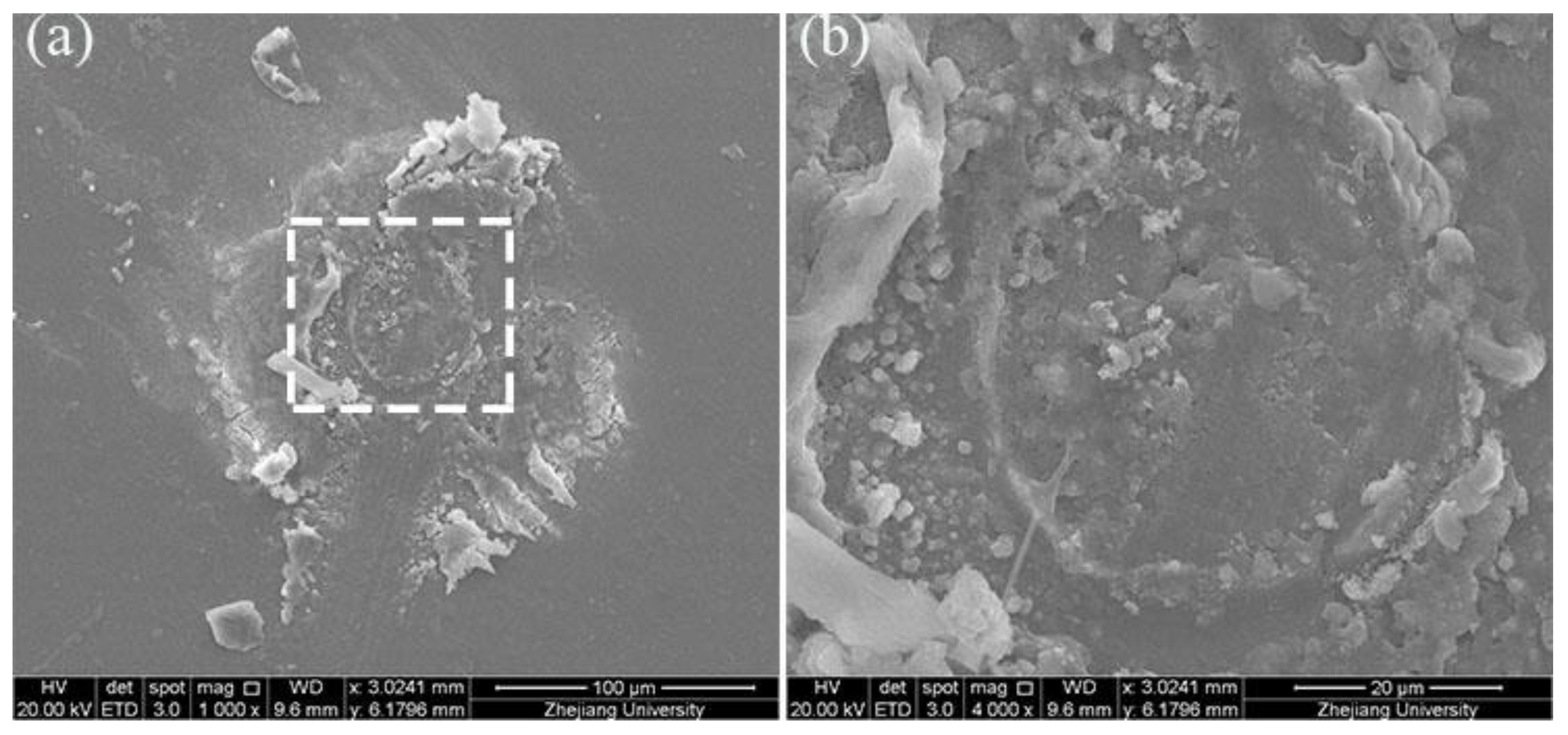 Processes 09 01276 g015