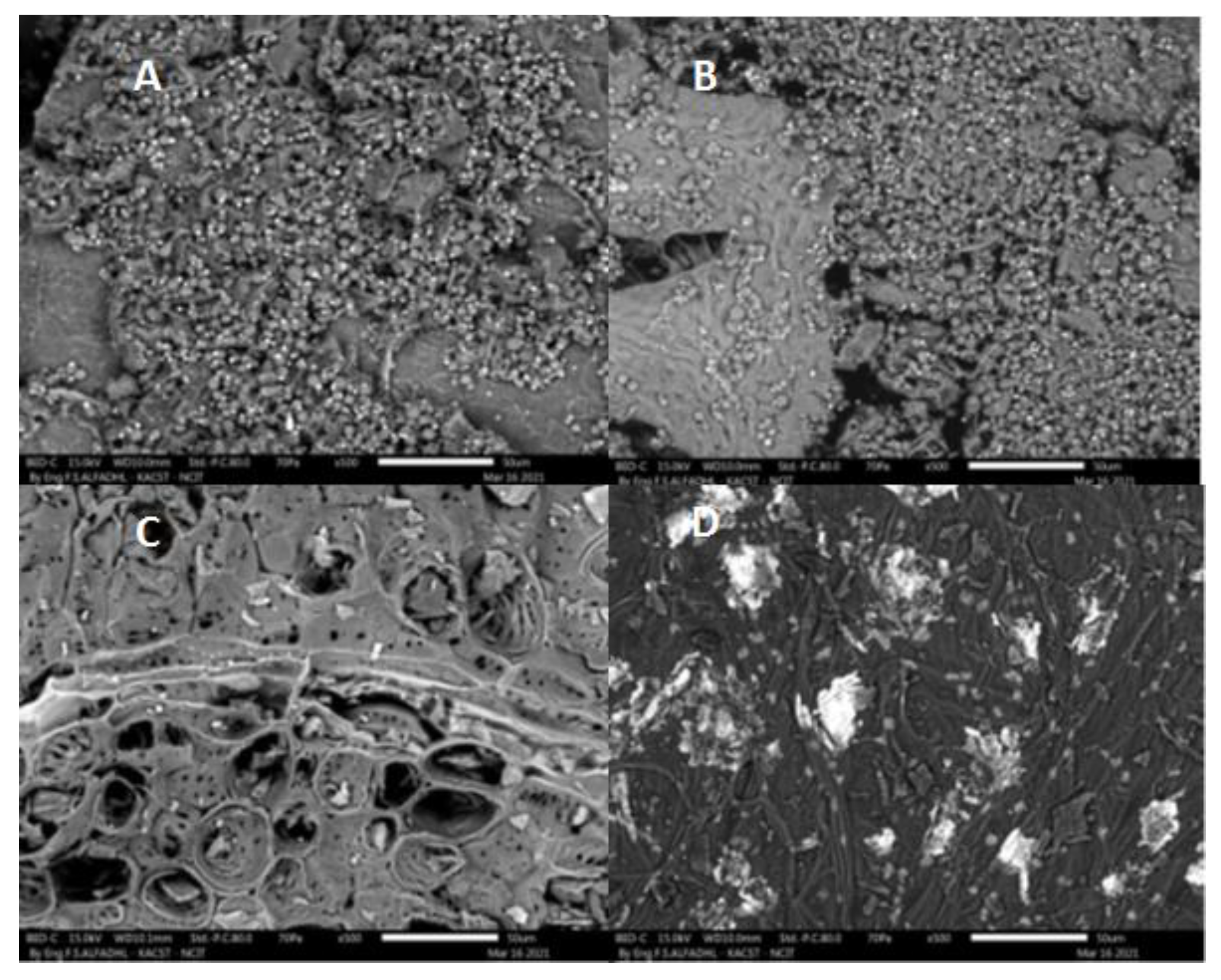 Processes 09 01279 g003