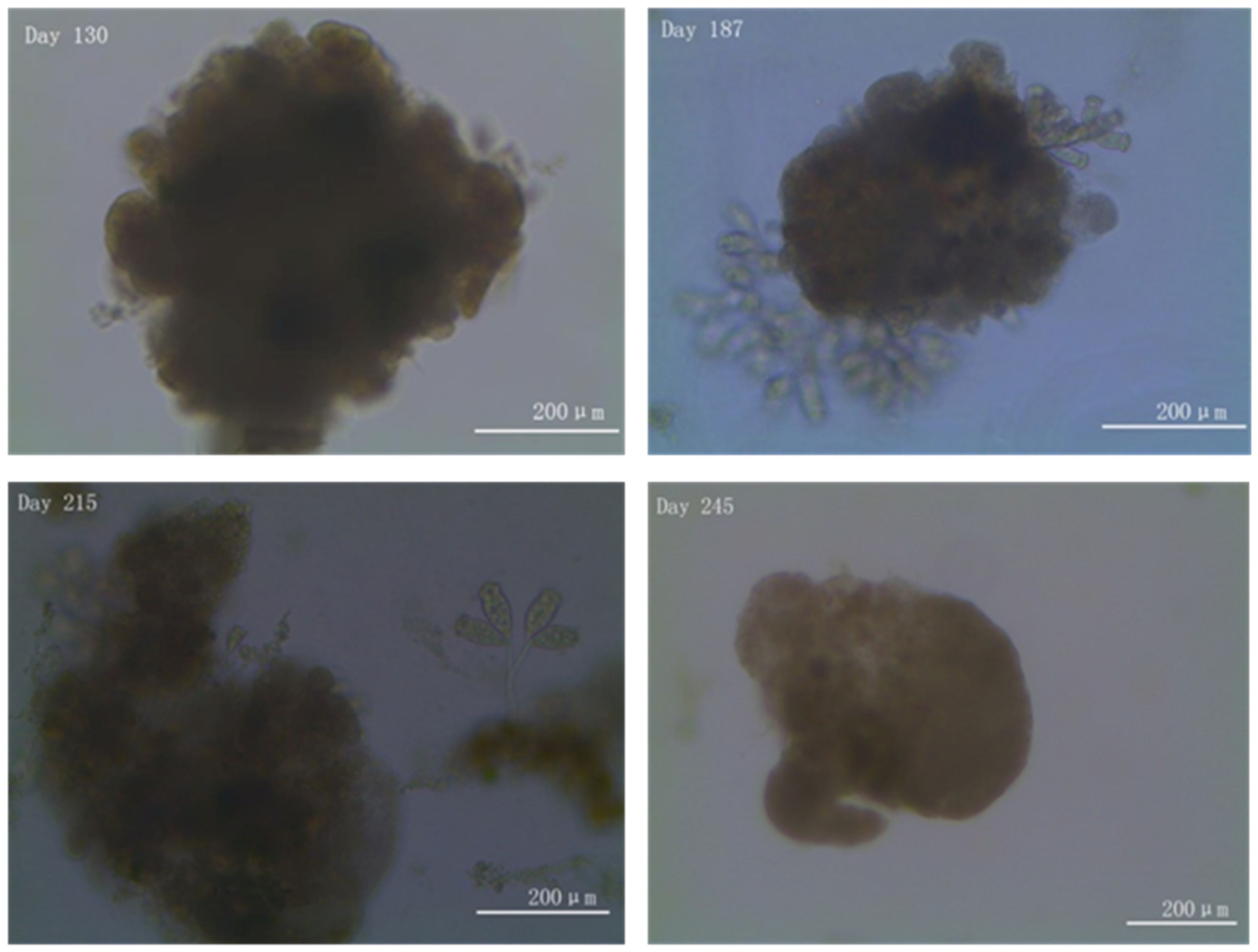 Processes 09 01290 g007