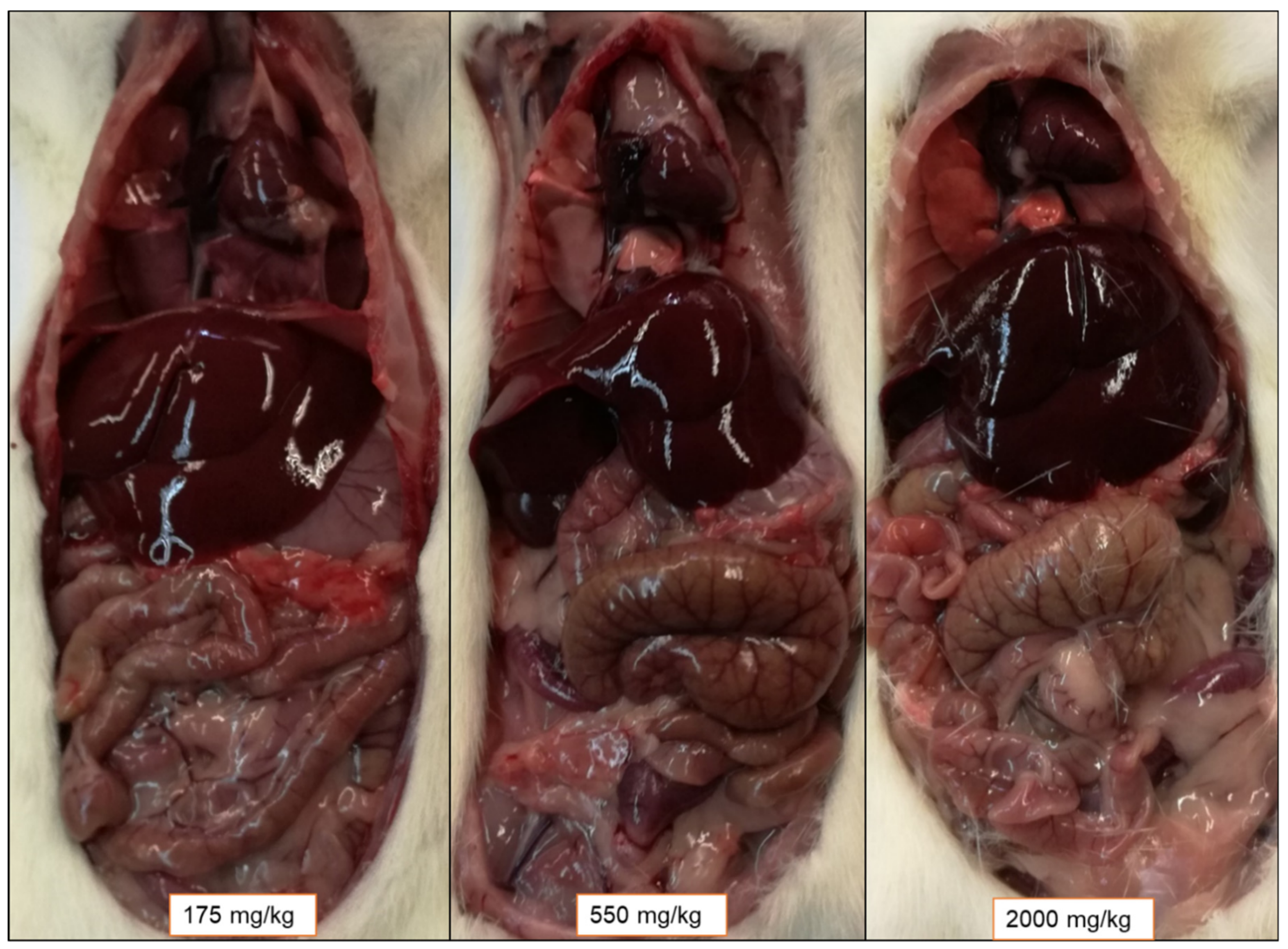 Processes 09 01294 g005