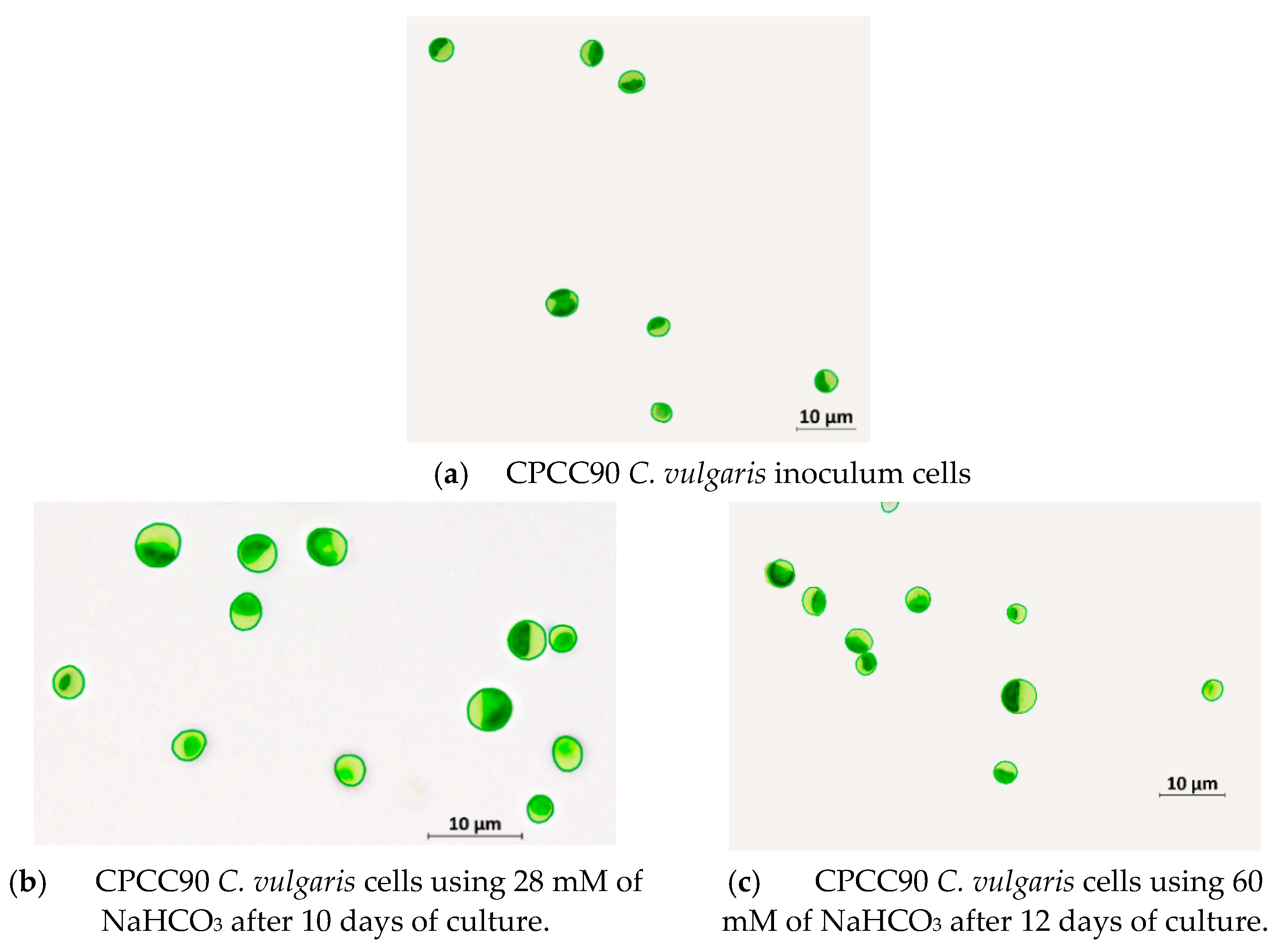 Processes 09 01296 g002 550
