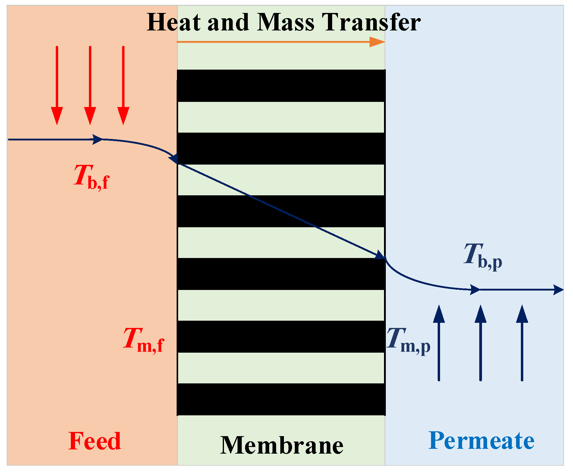 Processes 09 01297 g001
