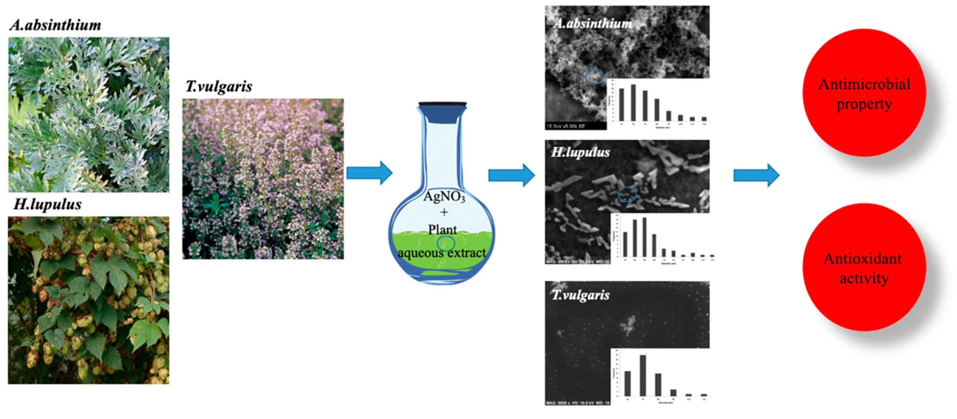 Processes 09 01304 g001 550