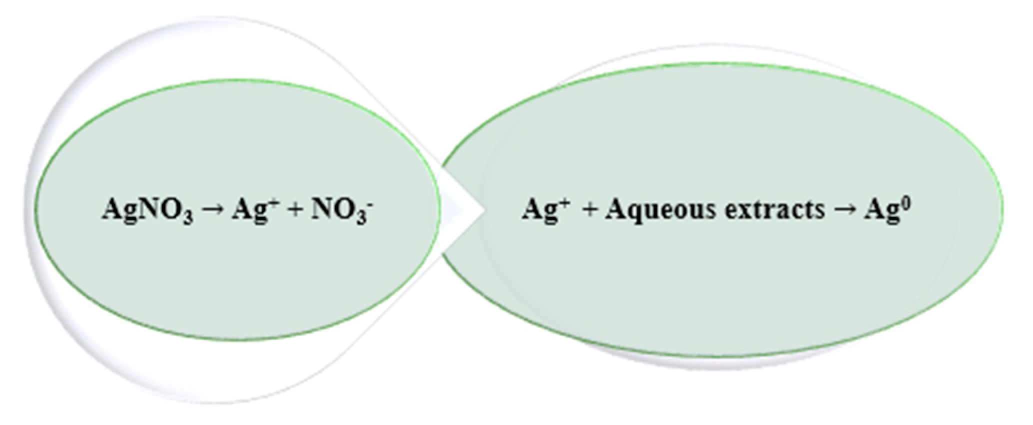 Processes 09 01304 g002 550