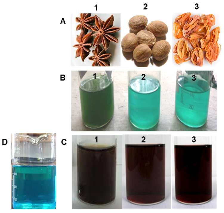 Processes 09 01341 g001