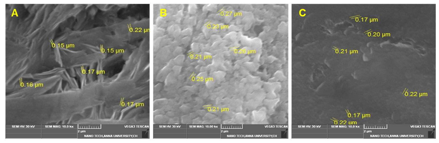 Processes 09 01341 g003