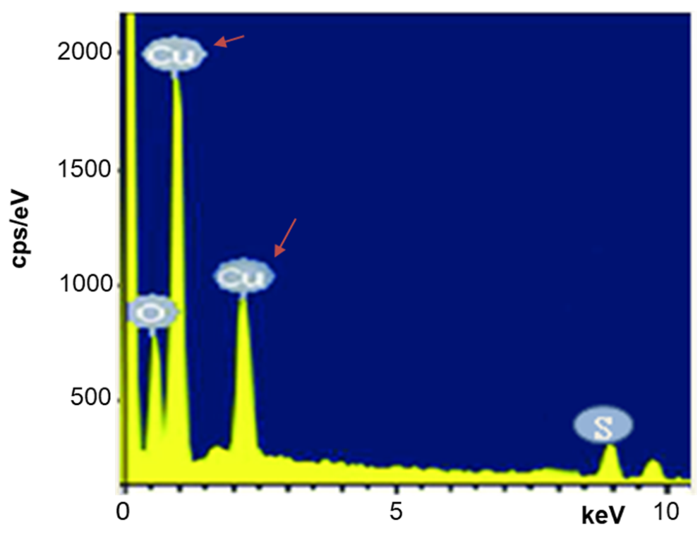 Processes 09 01341 g004